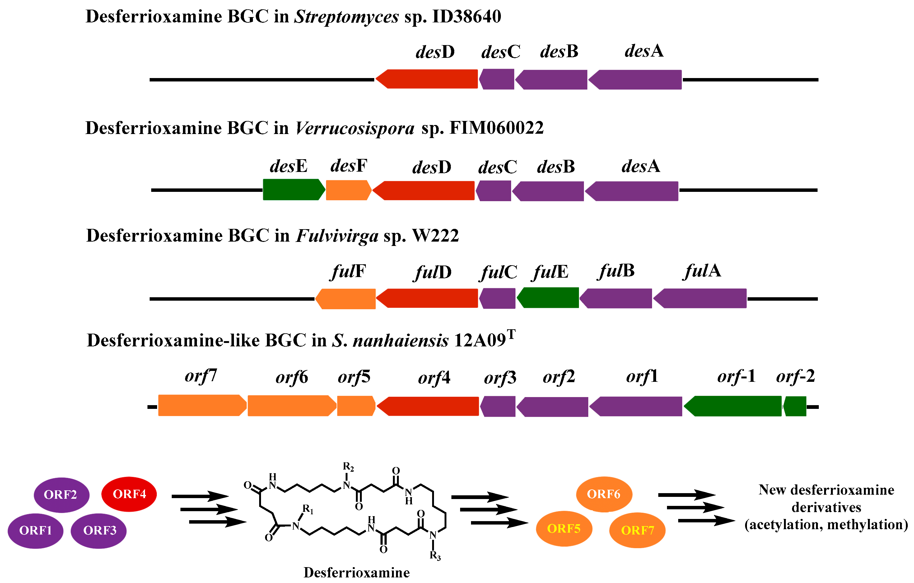 Marinedrugs 24 00007 g003