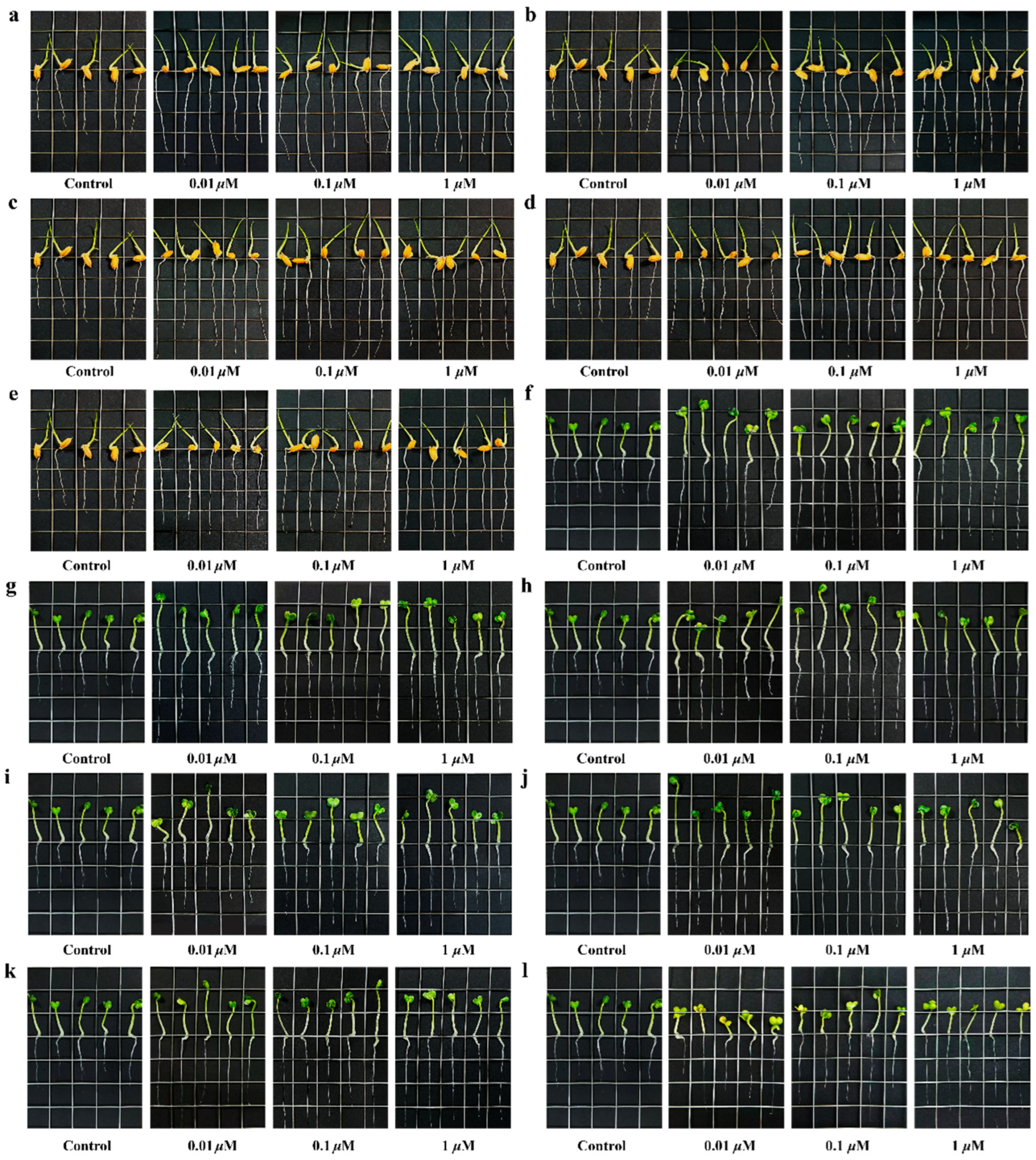 Marinedrugs 24 00007 g007