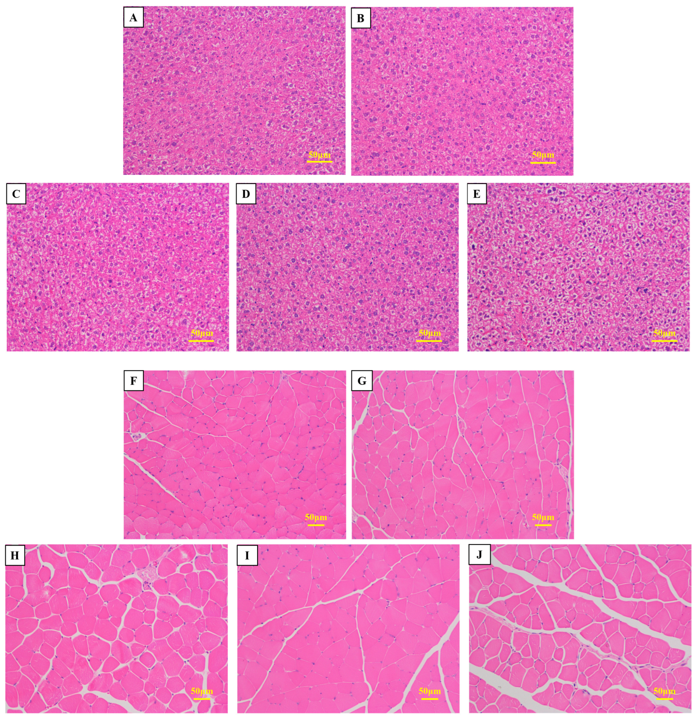 Marinedrugs 24 00010 g005