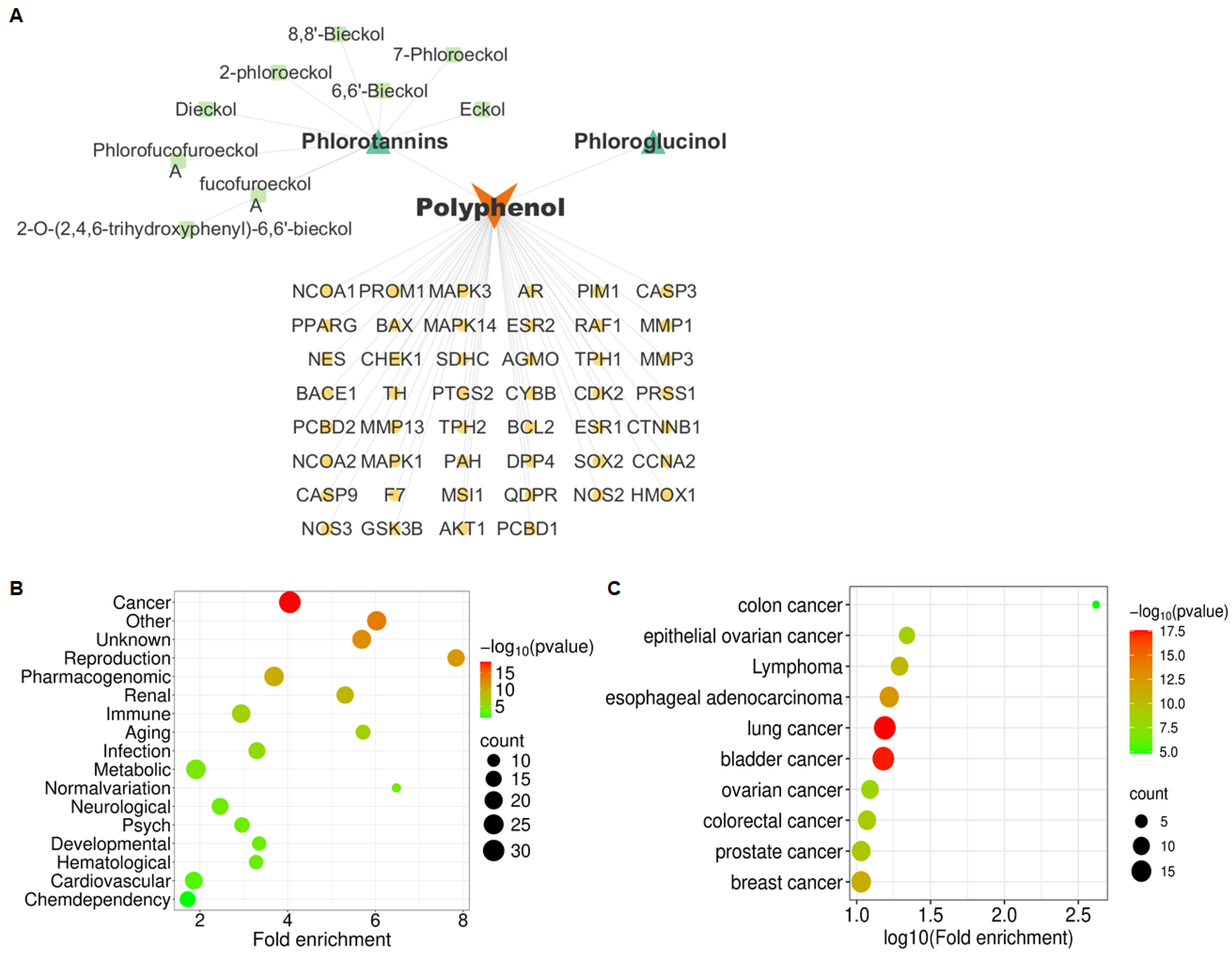 Marinedrugs 24 00012 g001