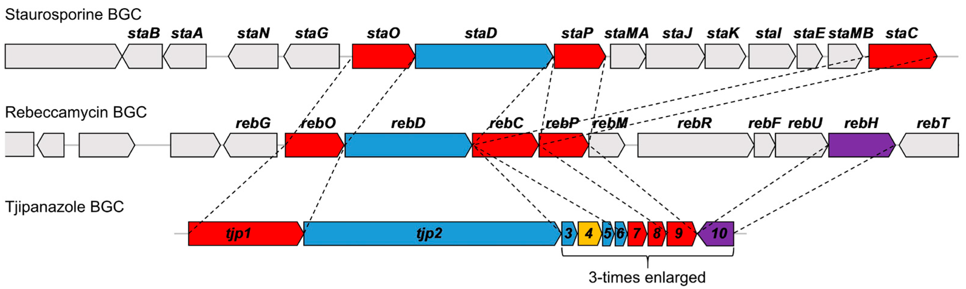 Marinedrugs 24 00018 g003