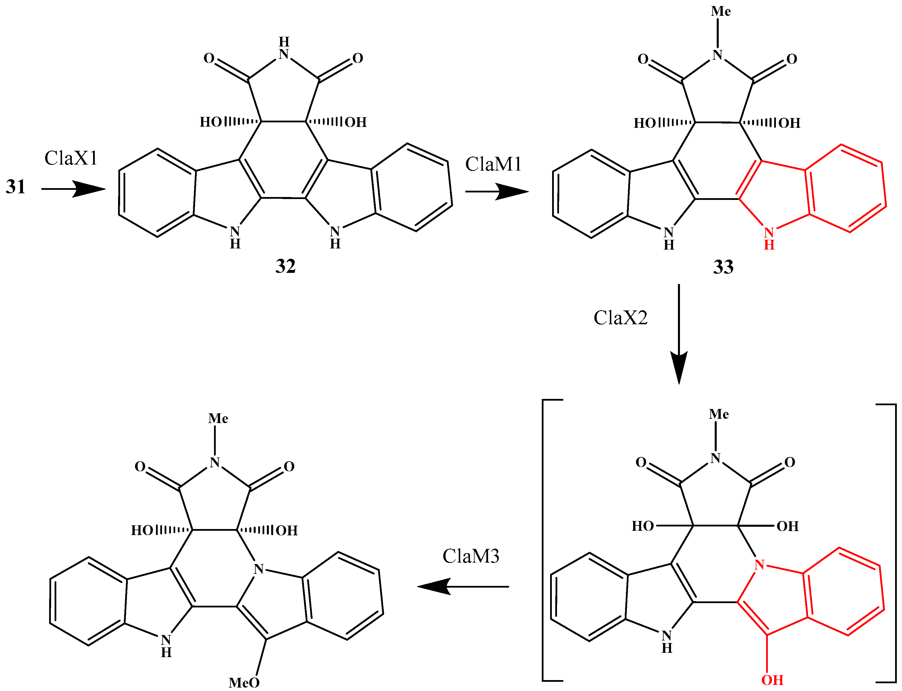 Marinedrugs 24 00018 sch003