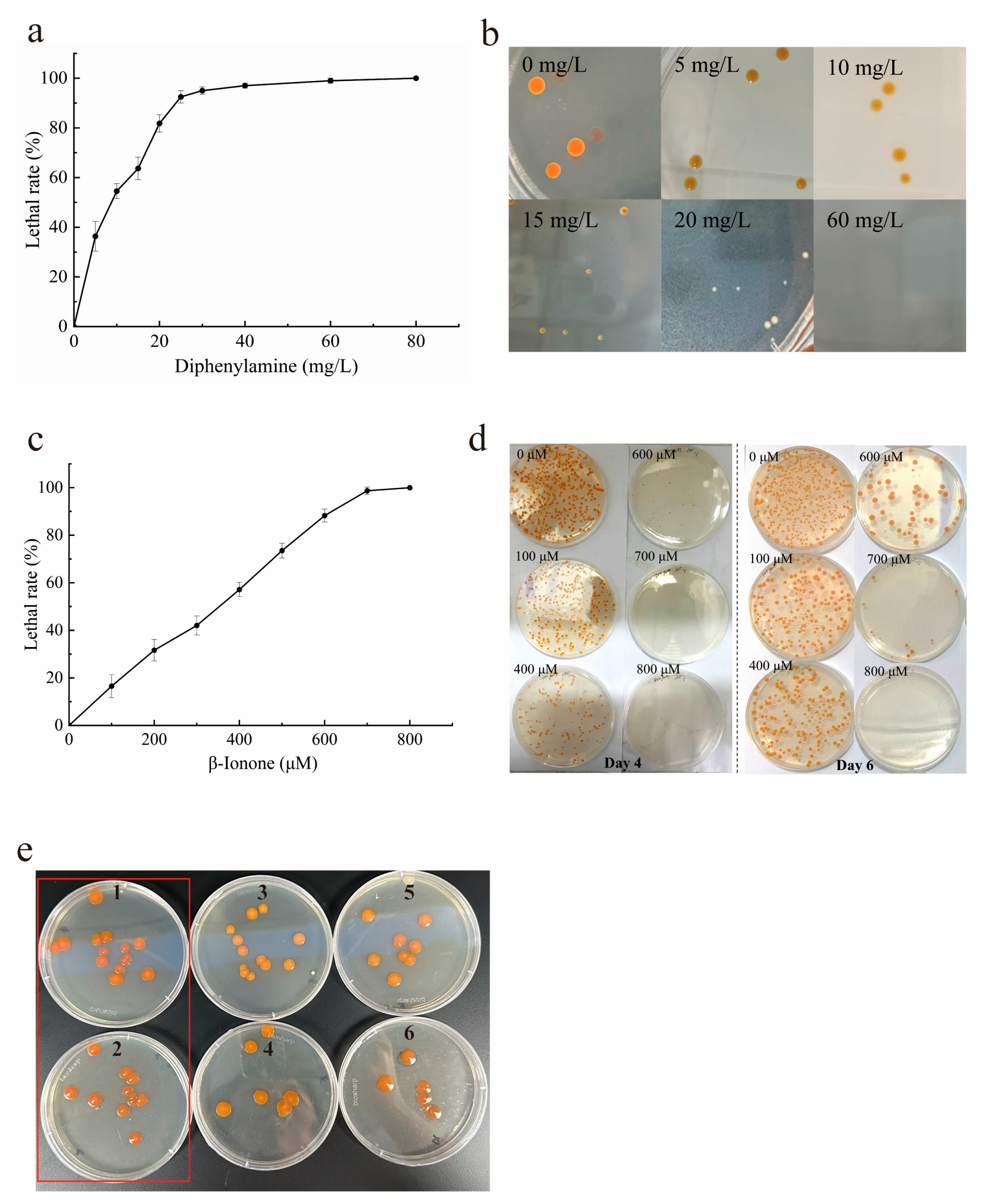 Marinedrugs 24 00019 g003 Marinedrugs 24 00019 g003