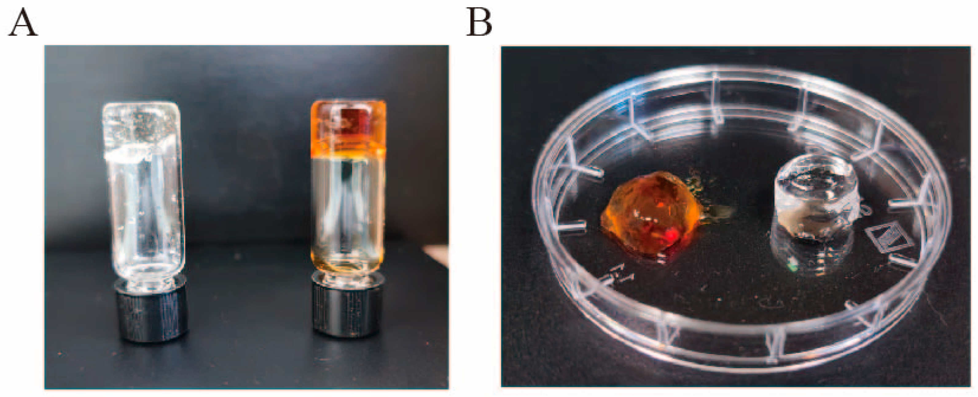 Marinedrugs 24 00022 g004