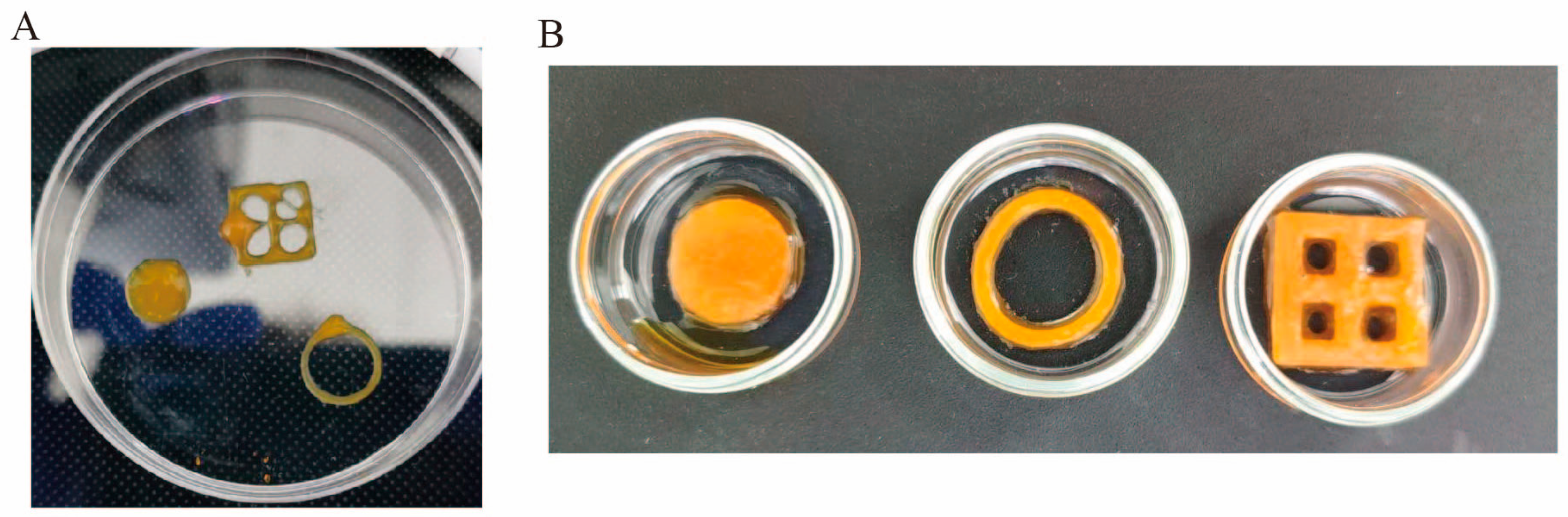 Marinedrugs 24 00022 g011