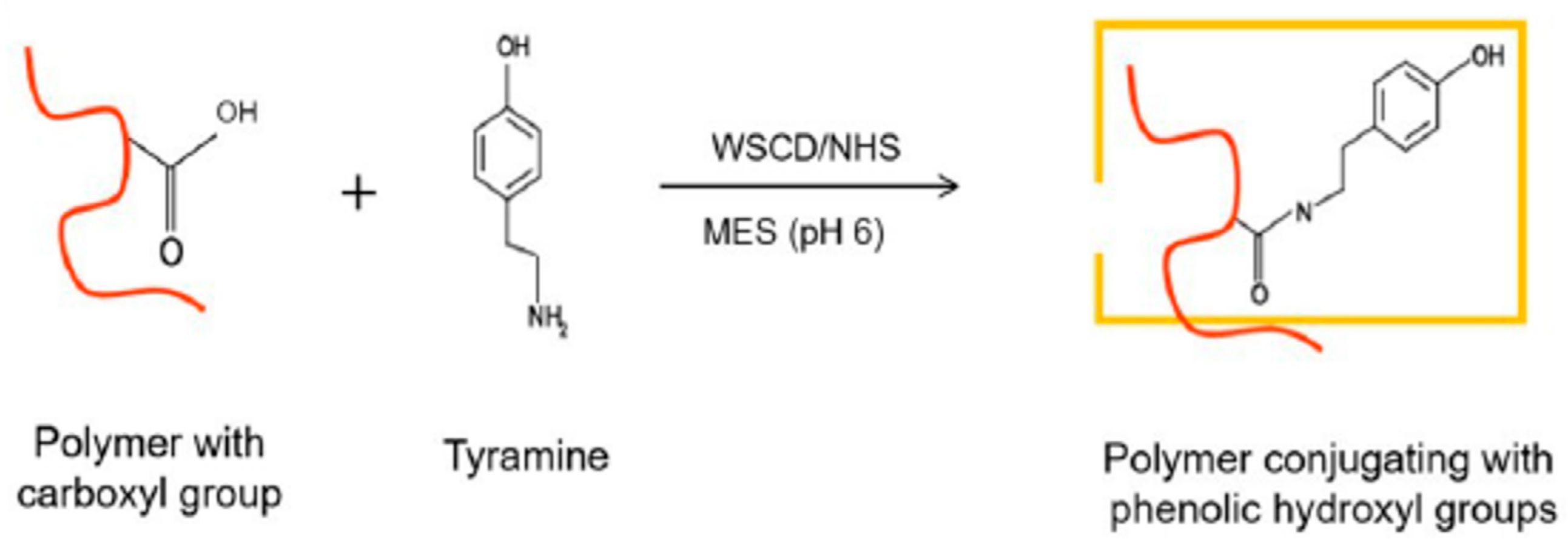 Marinedrugs 24 00022 g012