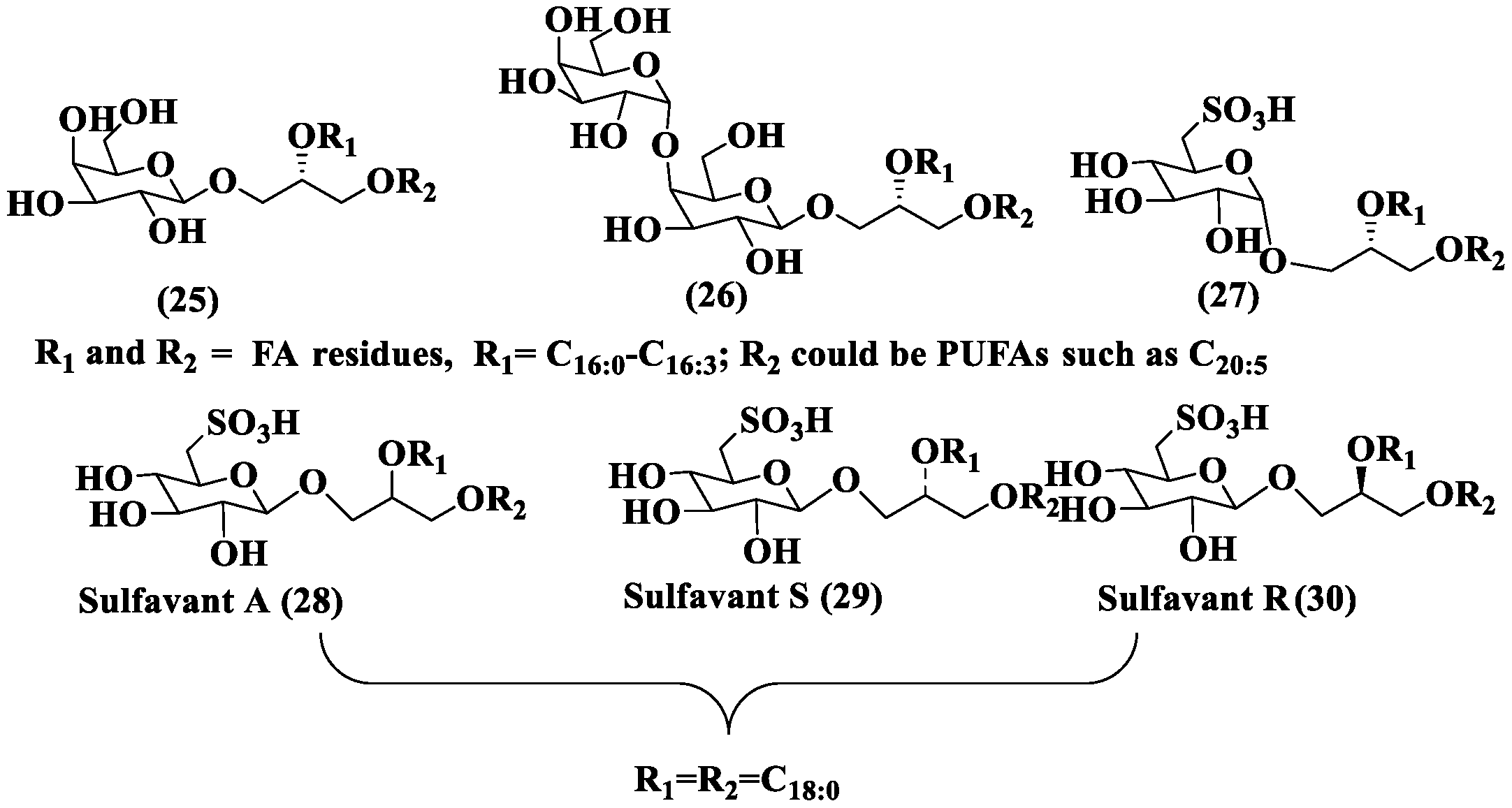 Marinedrugs 24 00023 g003 Marinedrugs 24 00023 g003