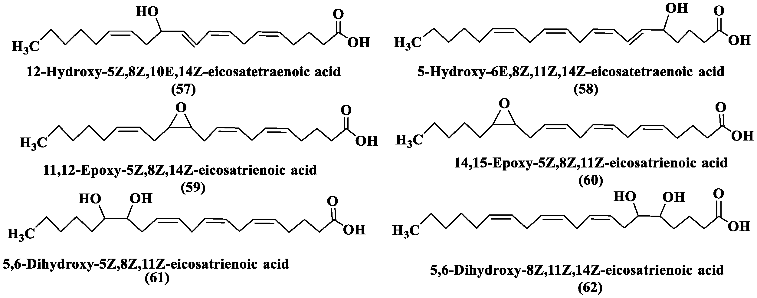 Marinedrugs 24 00023 g006 Marinedrugs 24 00023 g006