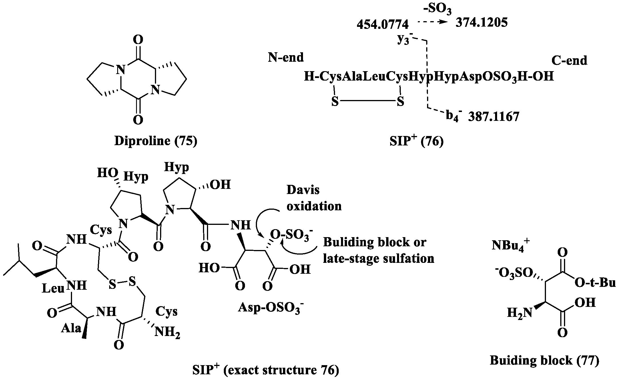 Marinedrugs 24 00023 g007 Marinedrugs 24 00023 g007