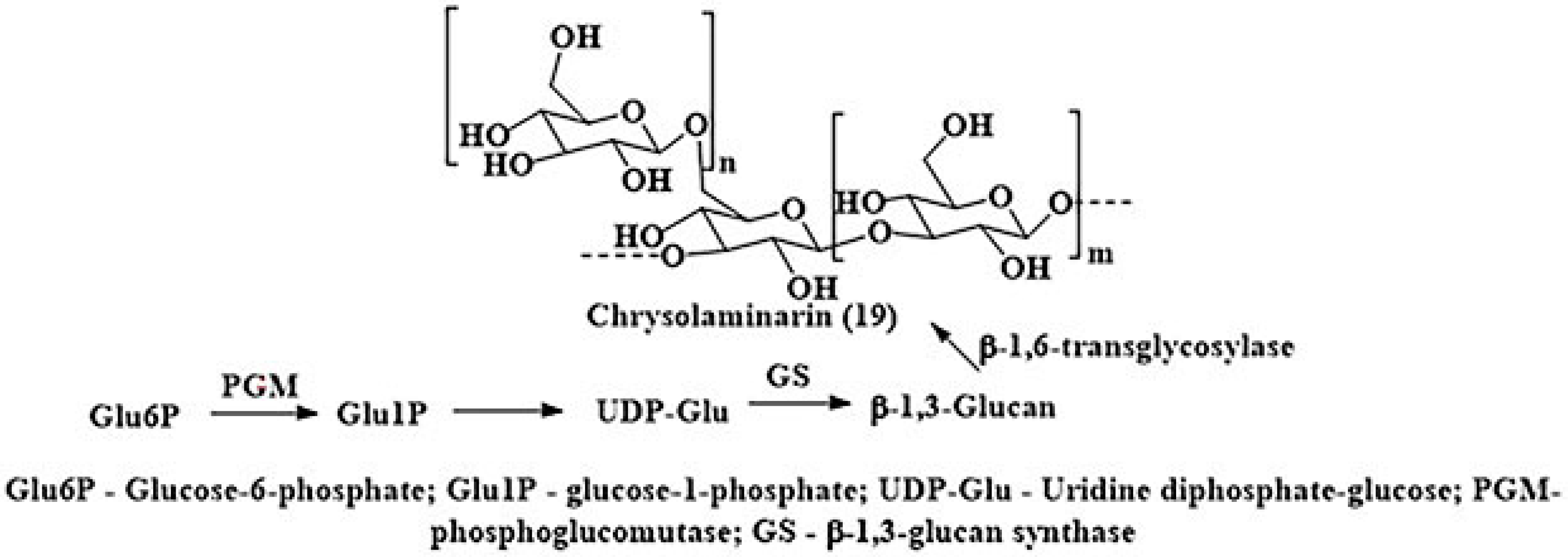 Marinedrugs 24 00023 sch002 Marinedrugs 24 00023 sch002