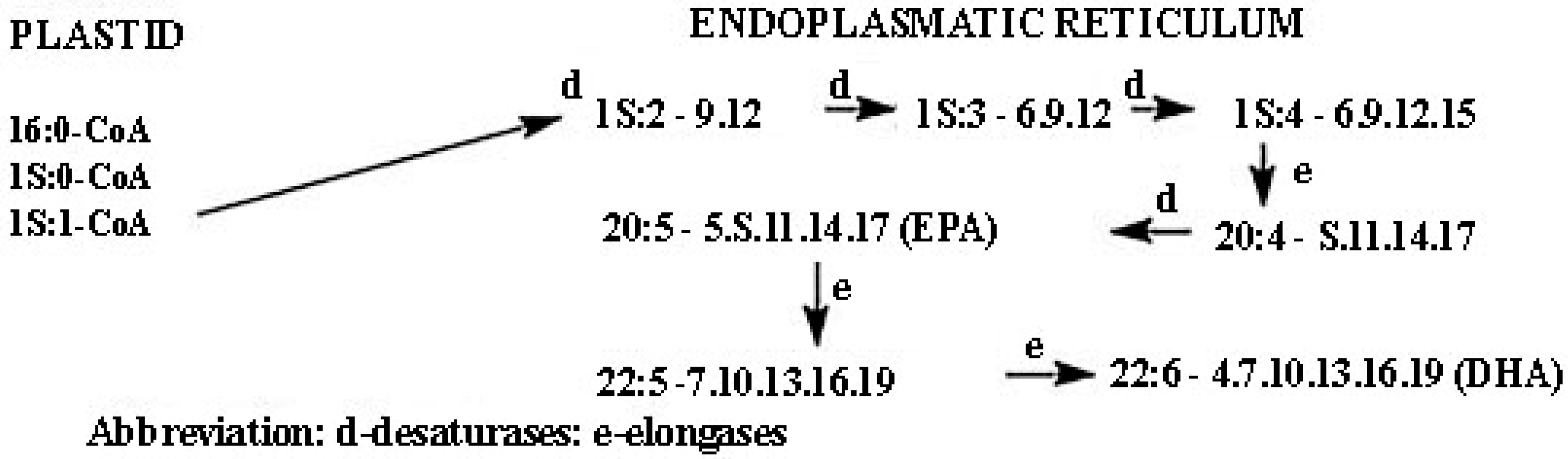Marinedrugs 24 00023 sch003 Marinedrugs 24 00023 sch003