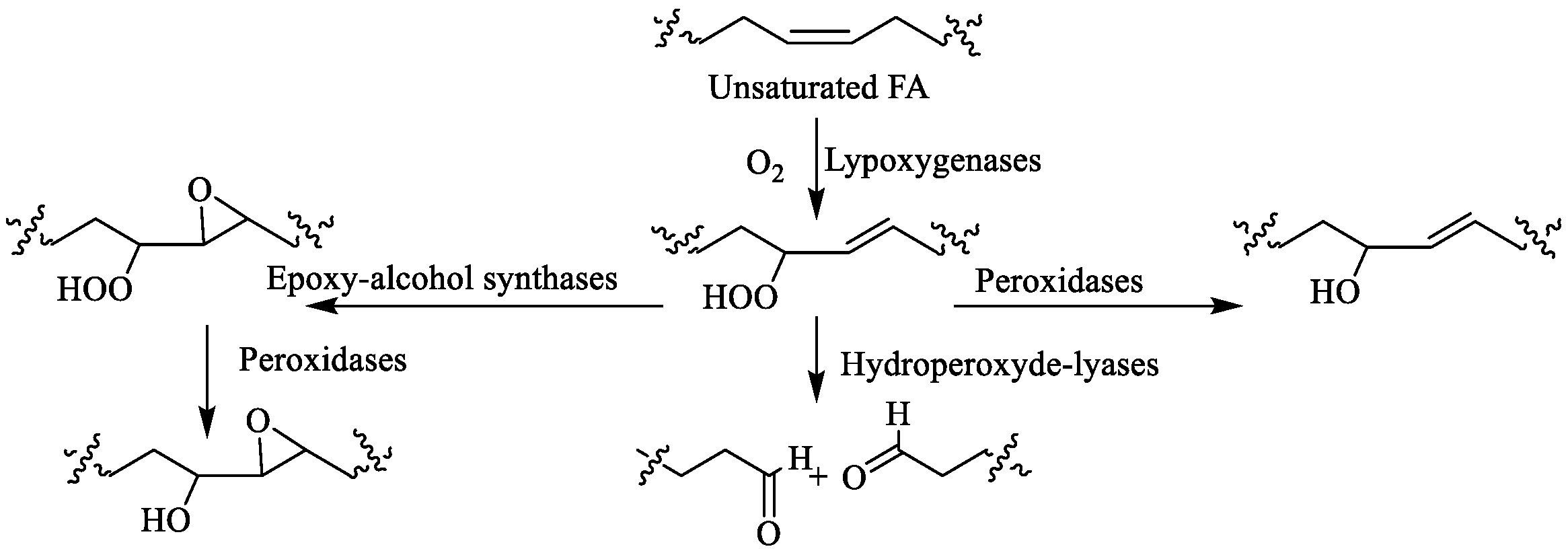Marinedrugs 24 00023 sch005 Marinedrugs 24 00023 sch005