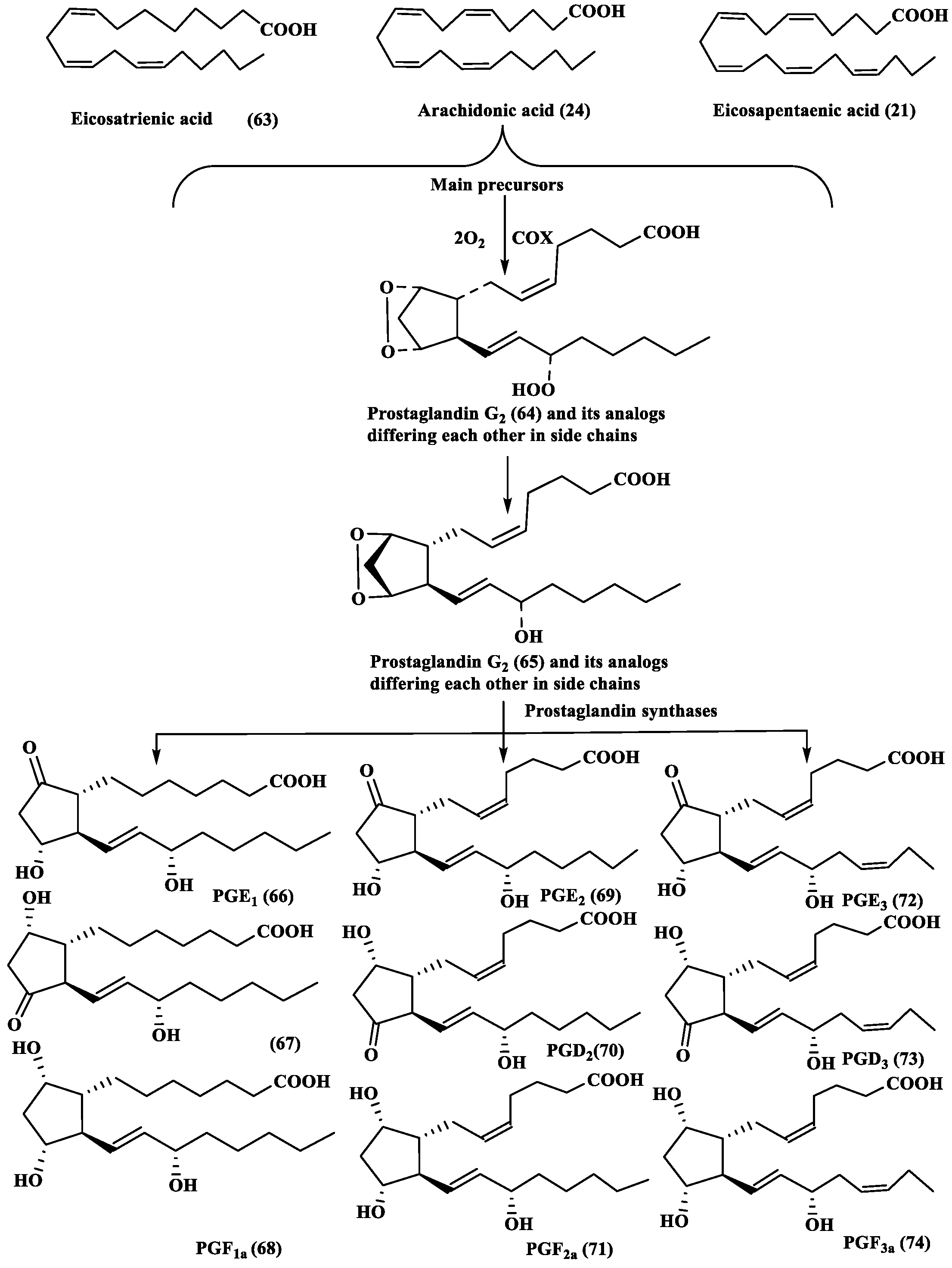 Marinedrugs 24 00023 sch006 Marinedrugs 24 00023 sch006