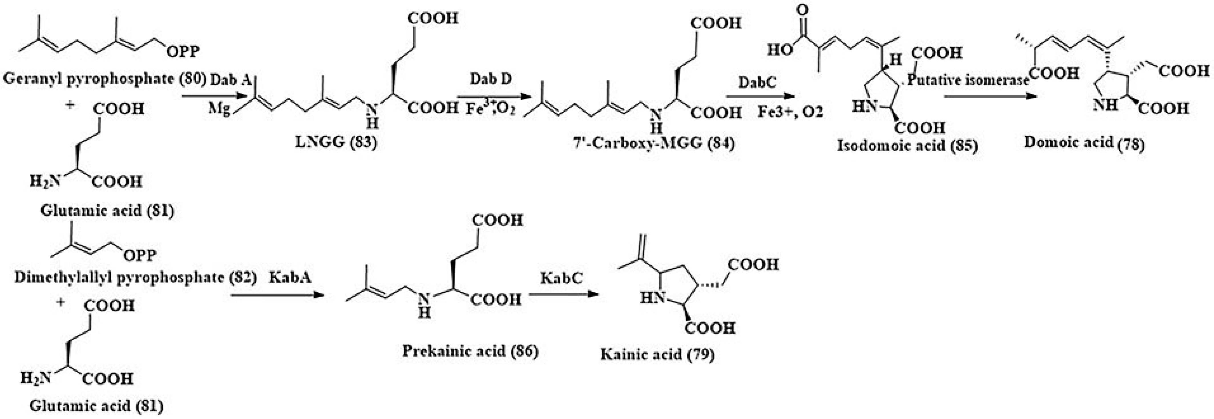 Marinedrugs 24 00023 sch007 Marinedrugs 24 00023 sch007