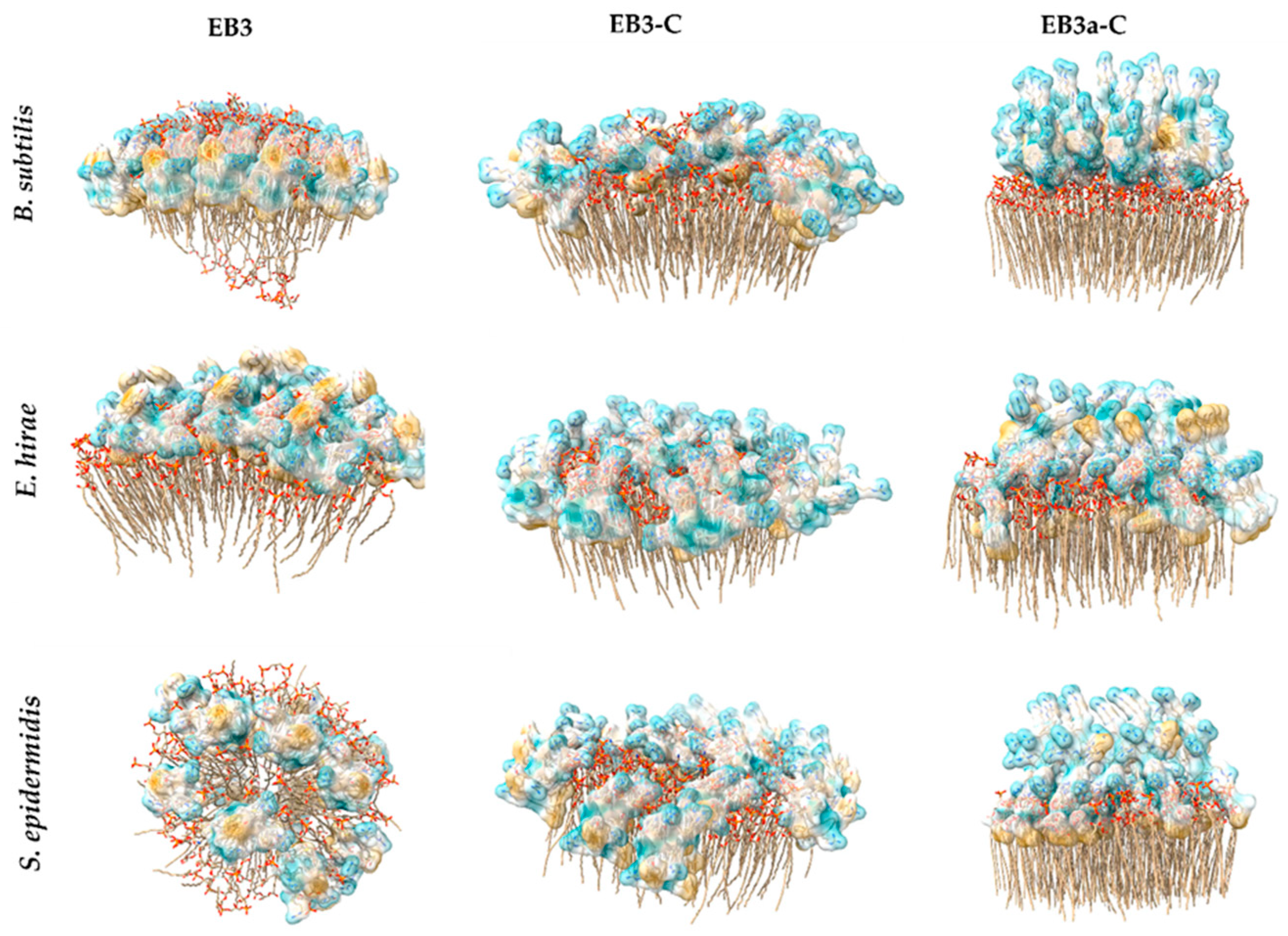 Marinedrugs 24 00046 g005