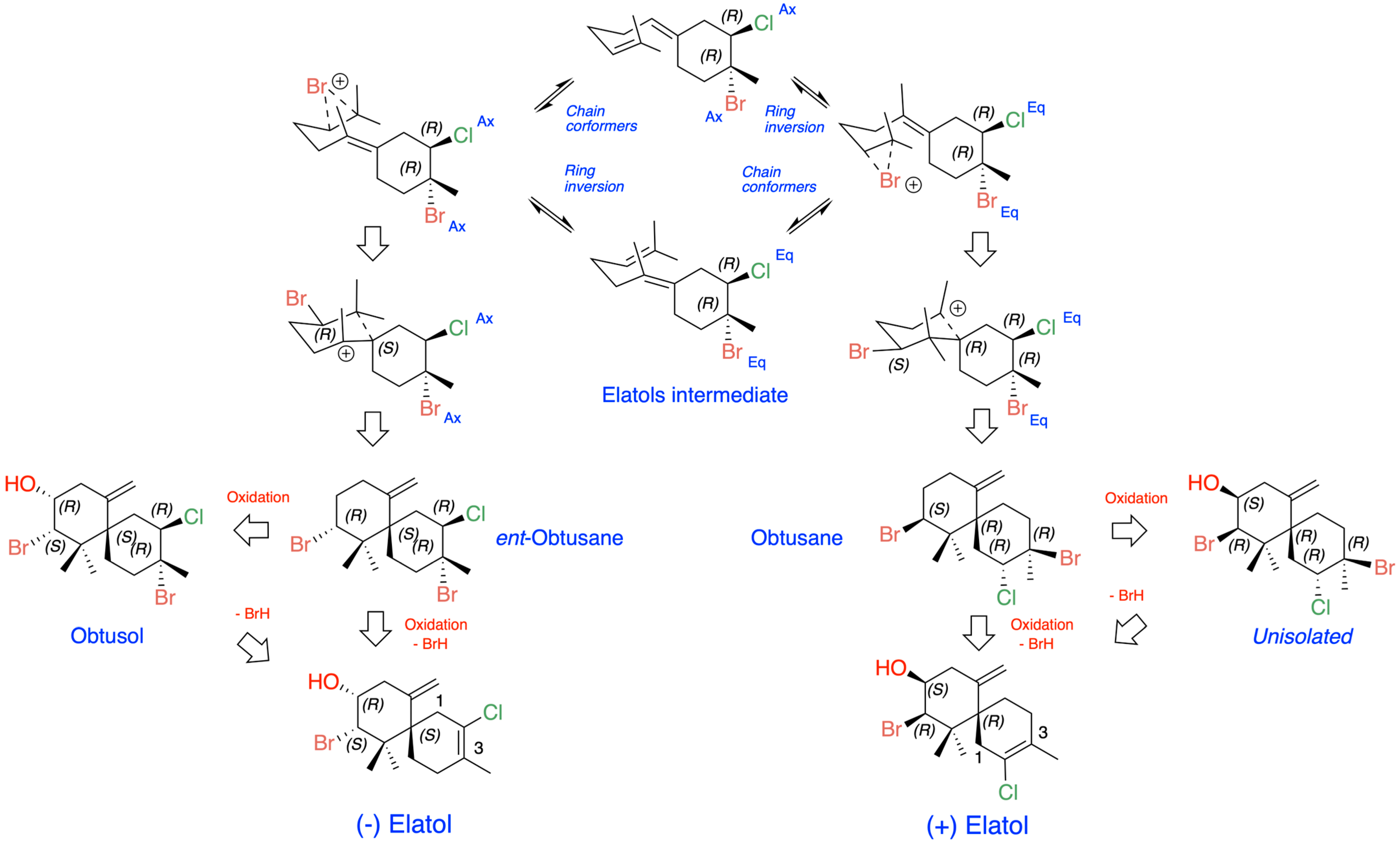 Marinedrugs 24 00061 g004