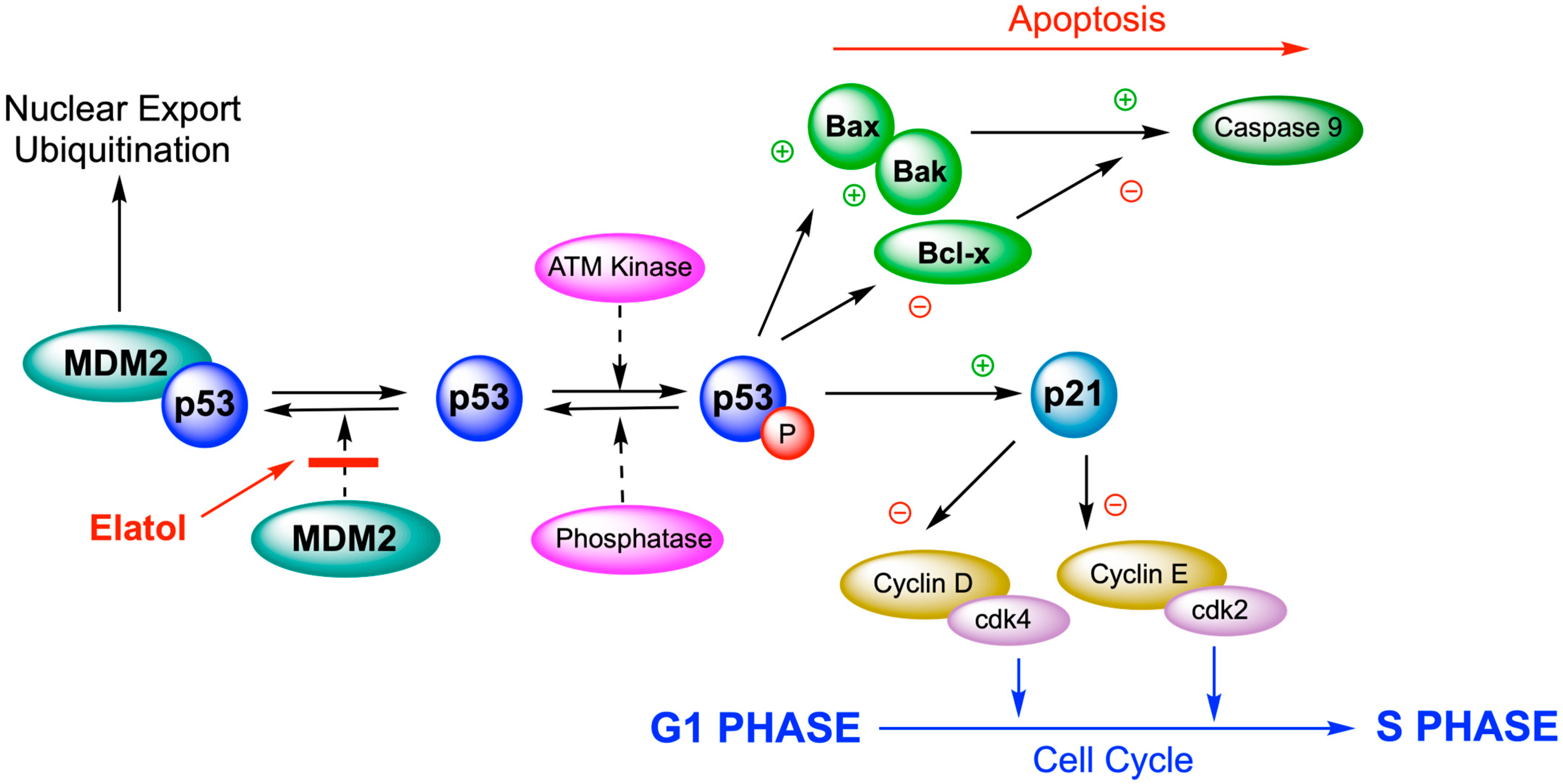 Marinedrugs 24 00061 g006