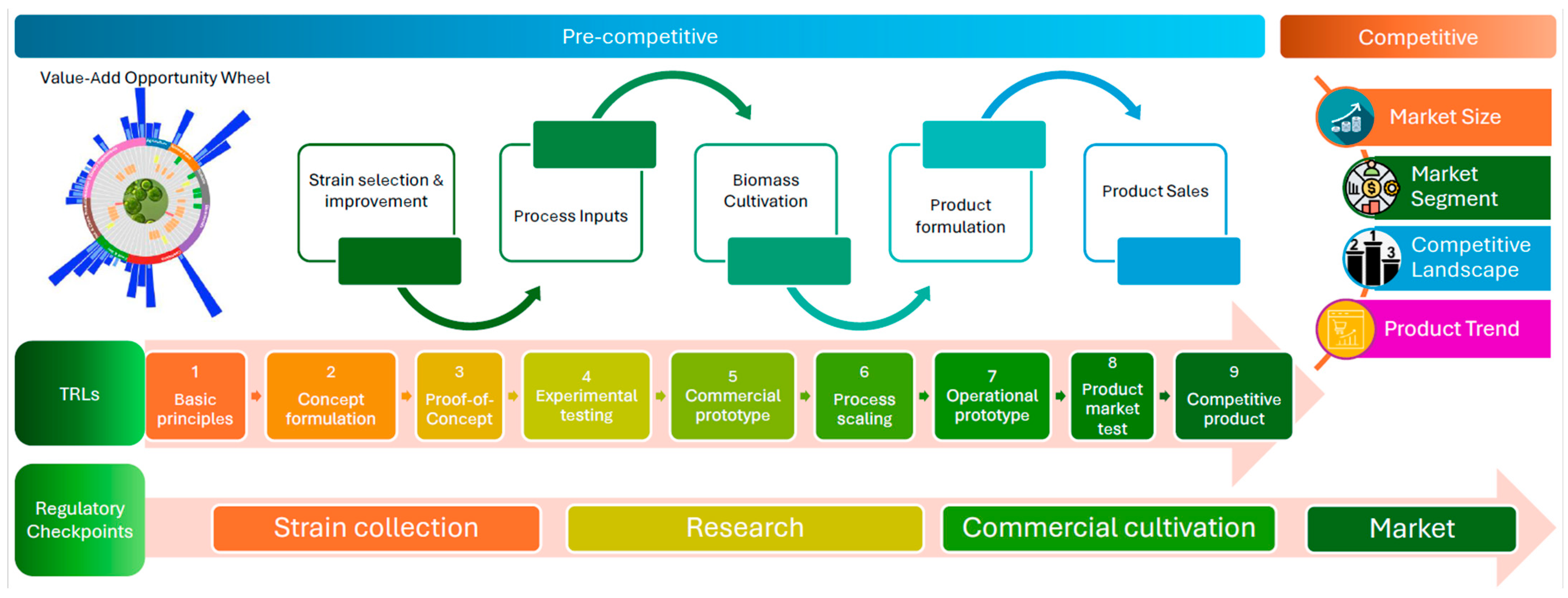 Marinedrugs 24 00066 g001