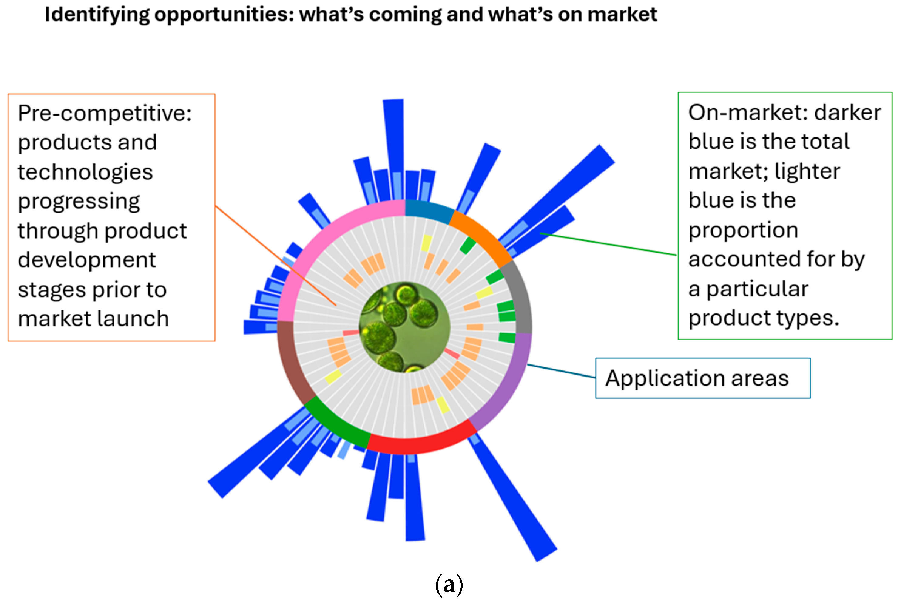 Marinedrugs 24 00066 g004a