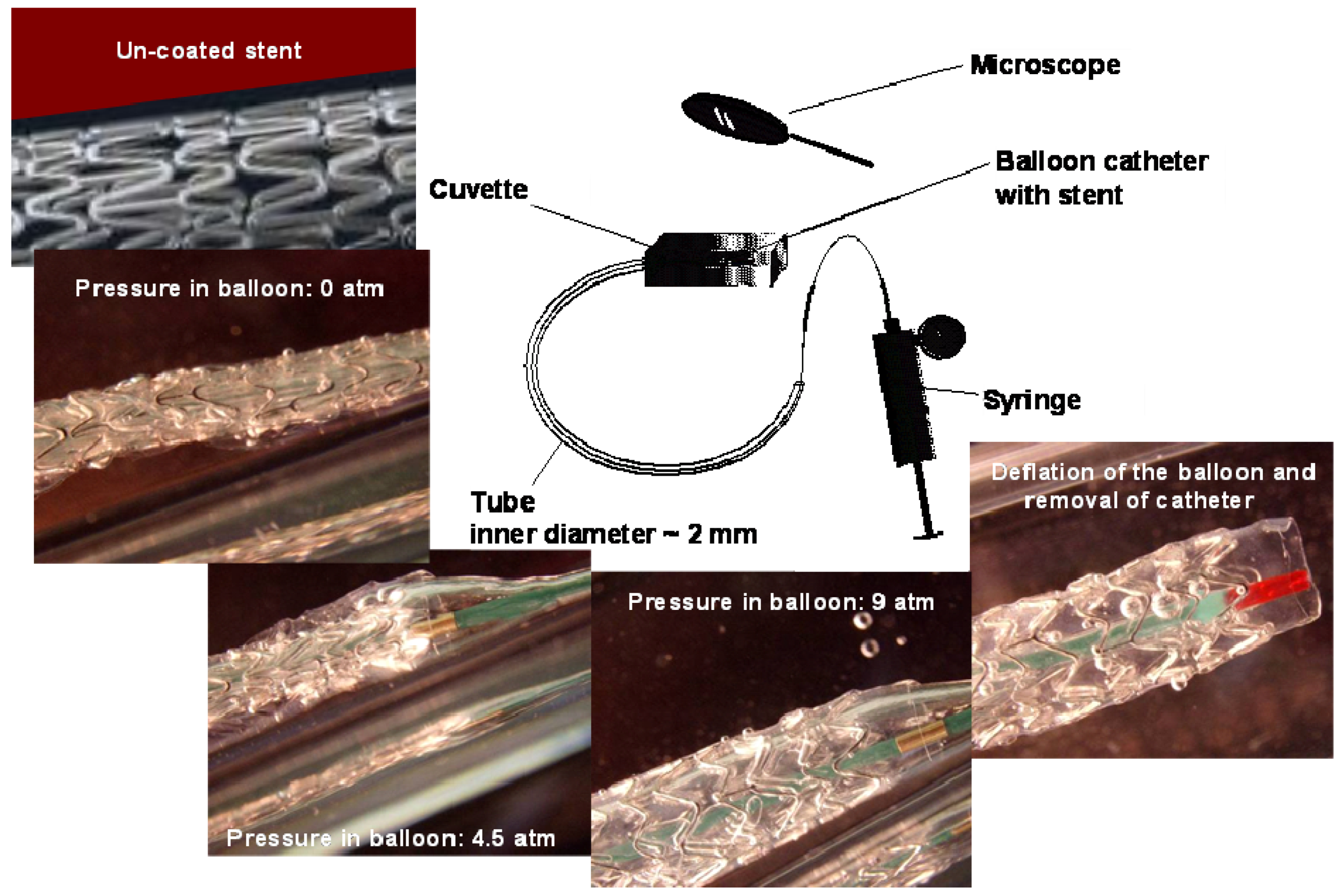Materials 01 00025 g002