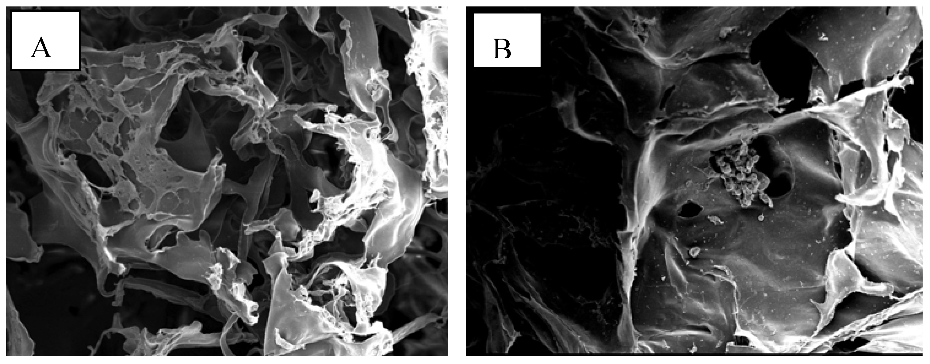 Materials 02 00374 g006