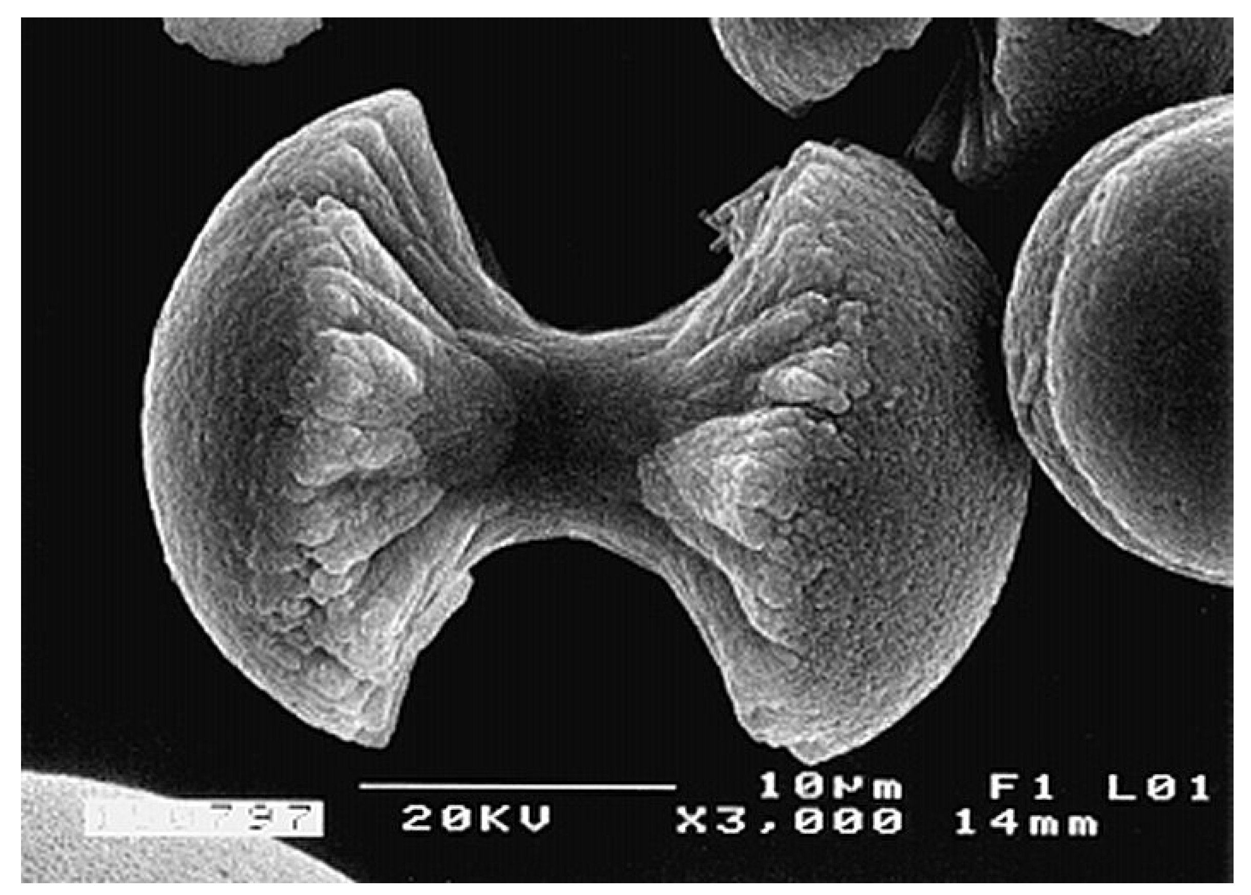 Materials 02 00399 g004