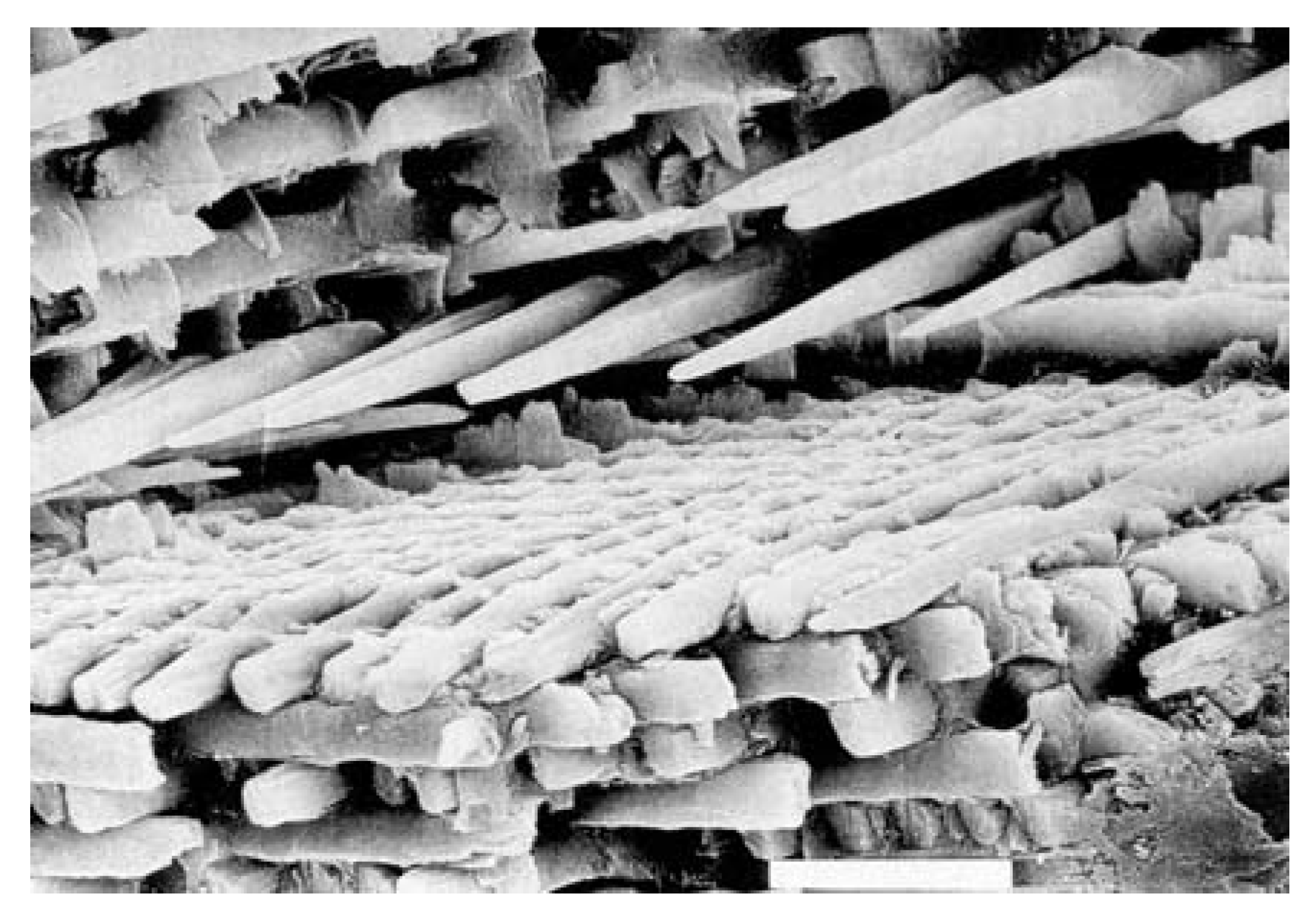 Materials 02 00399 g009