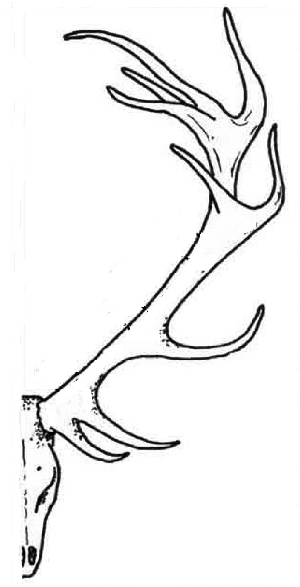 rapid sketch sb rapid sketch sb
