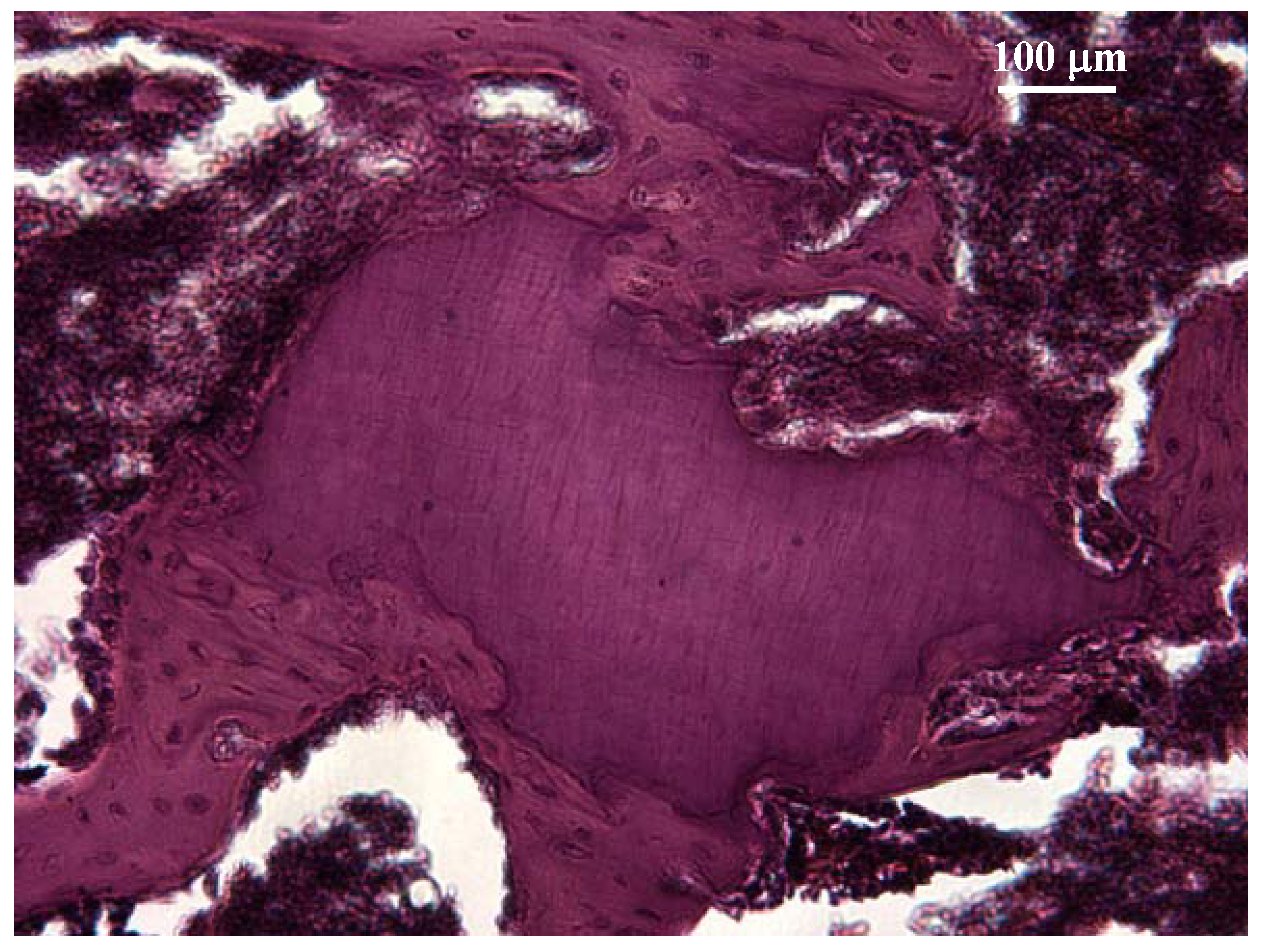 Materials 02 00514 g003