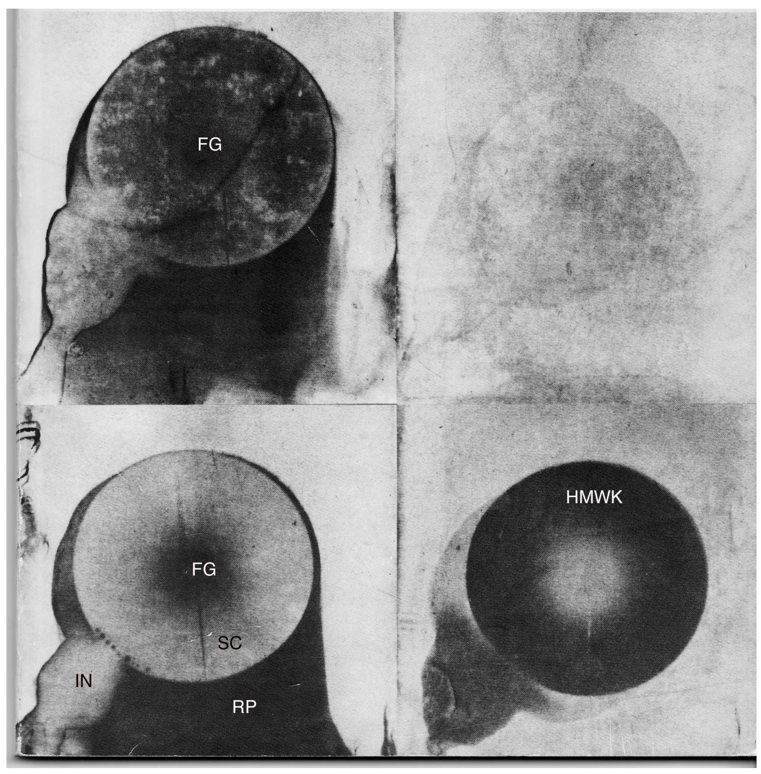 Materials 02 01547 g002