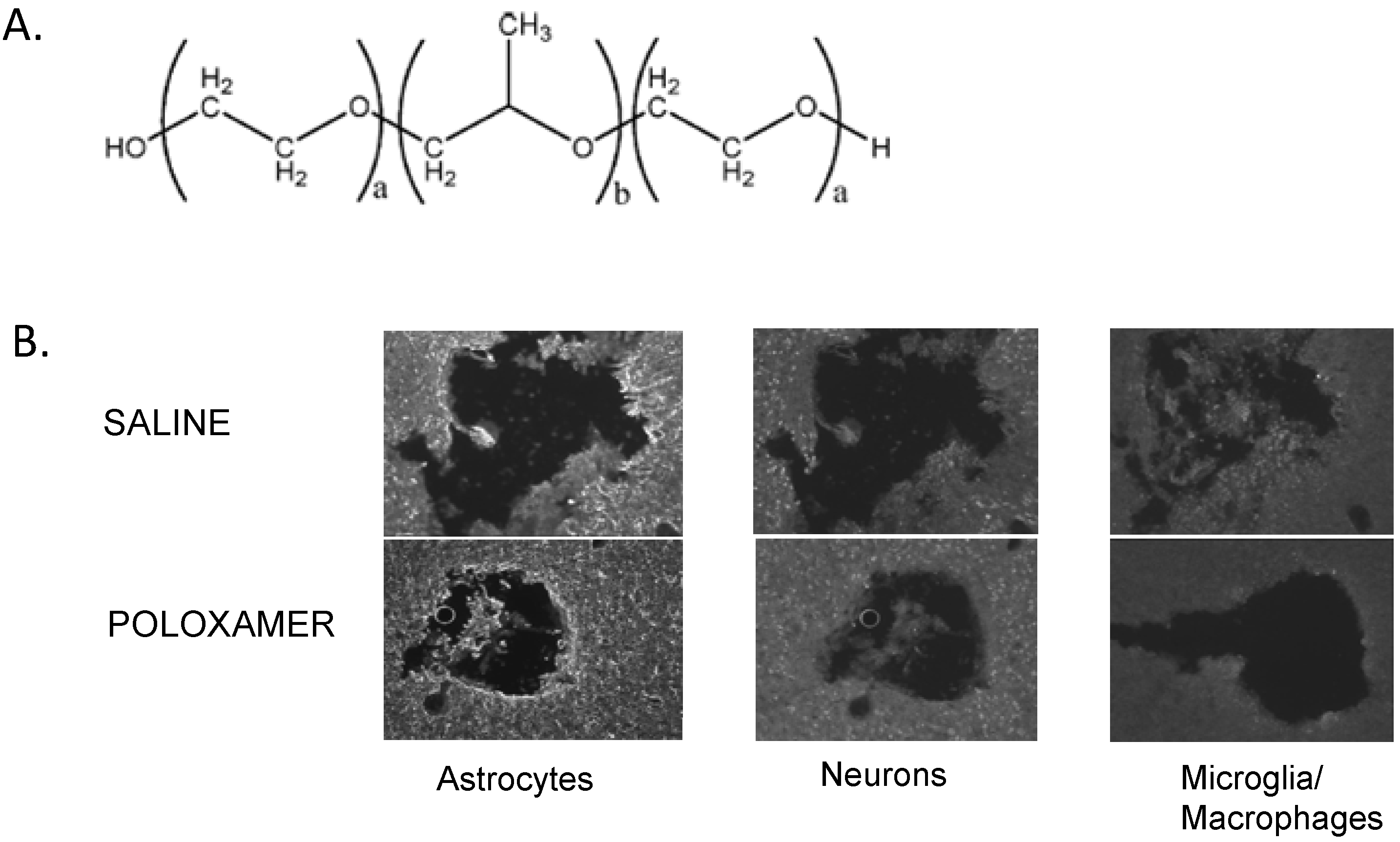 Materials 02 01762 g009 1024