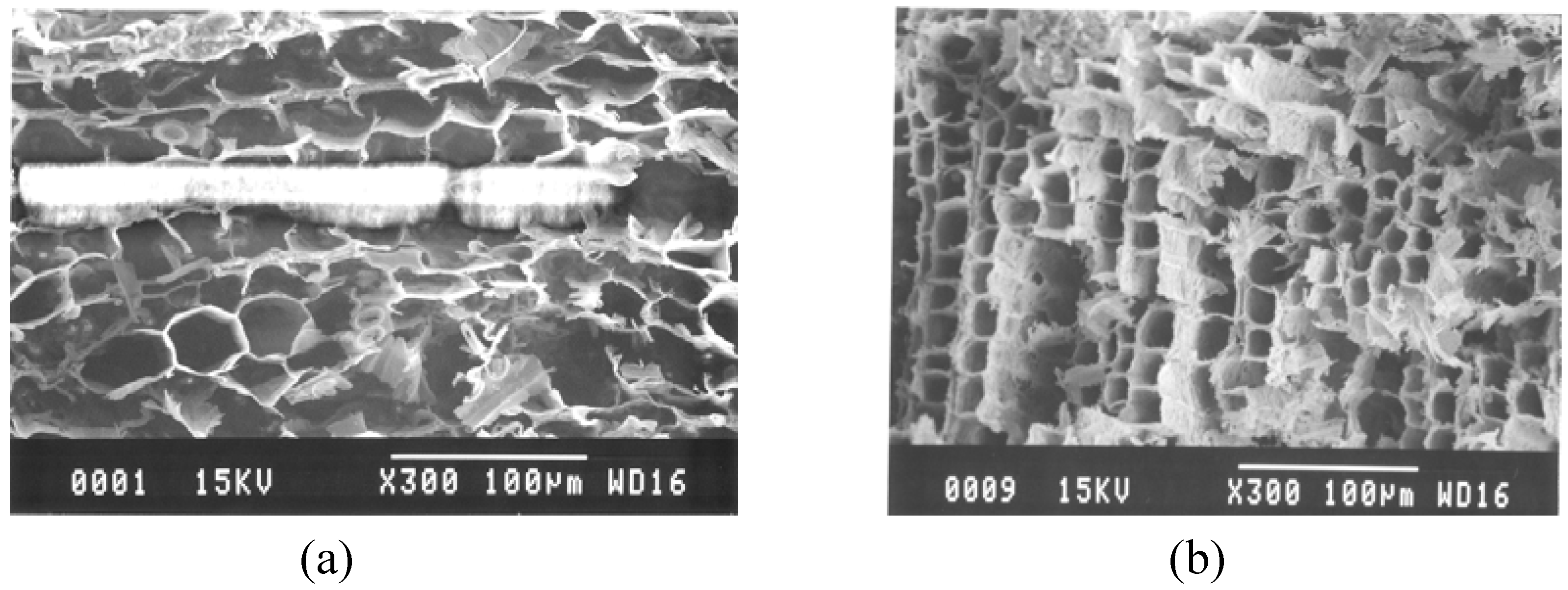 Materials 02 01923 g002 1024