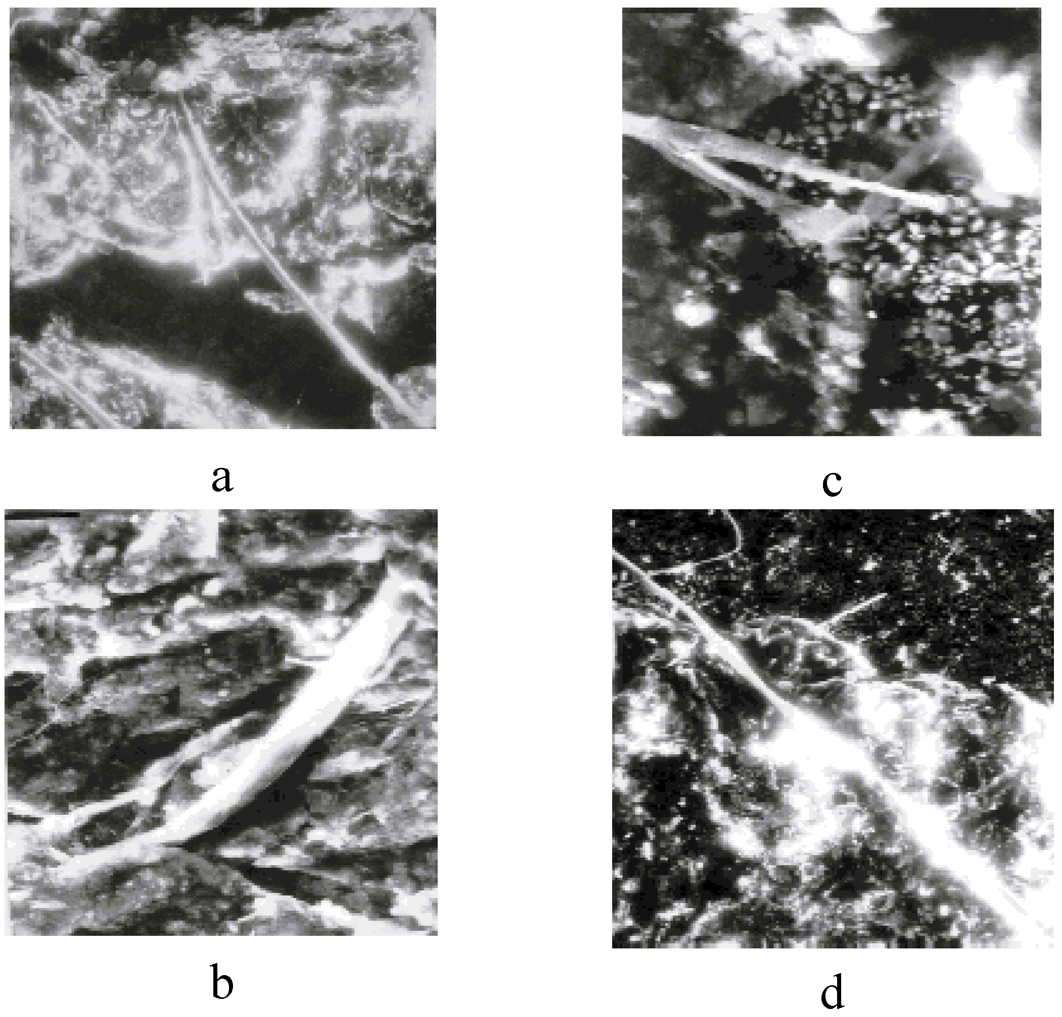 Materials 02 02154 g013 1024