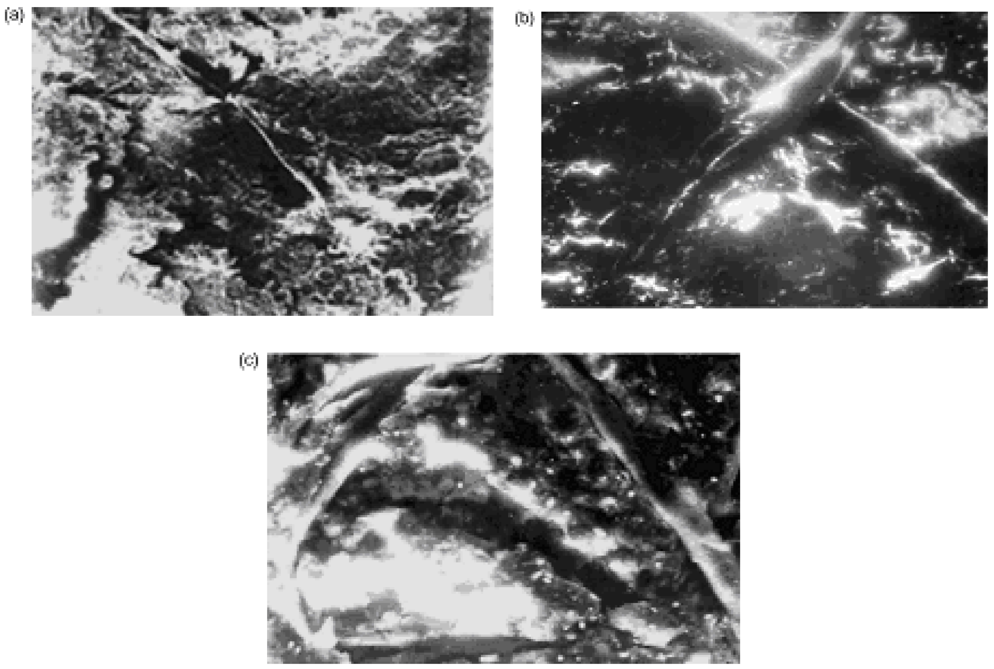 Materials 02 02154 g014 1024