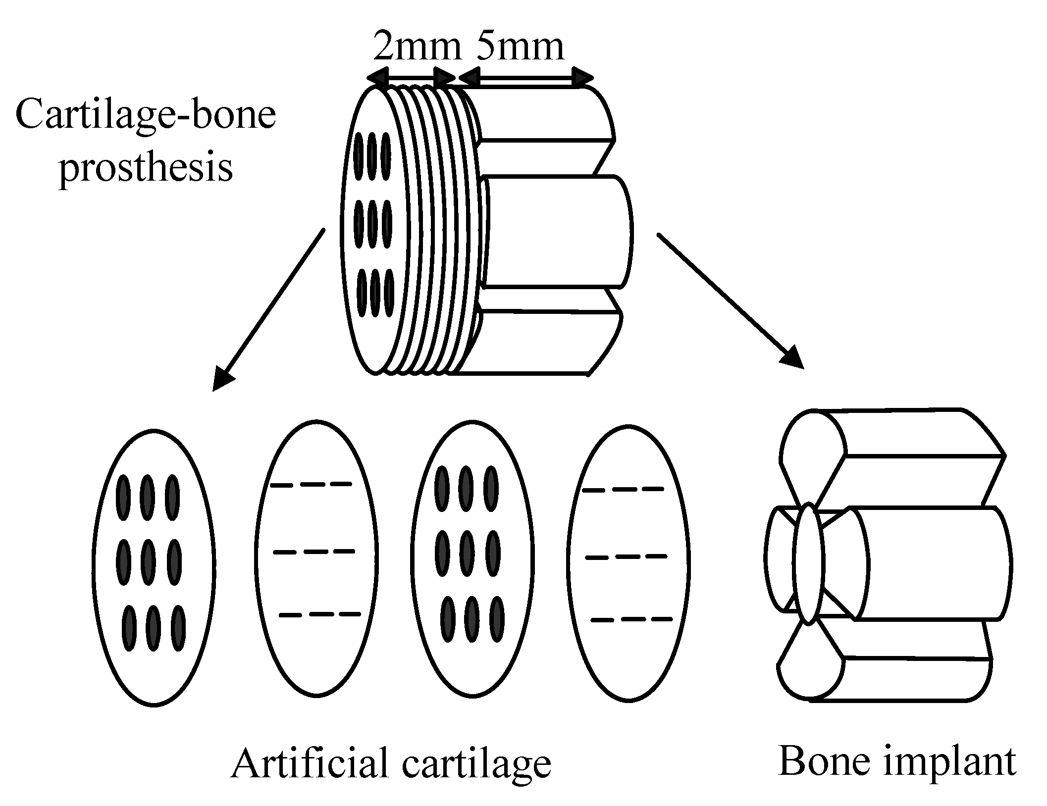 Materials 03 00026 g004