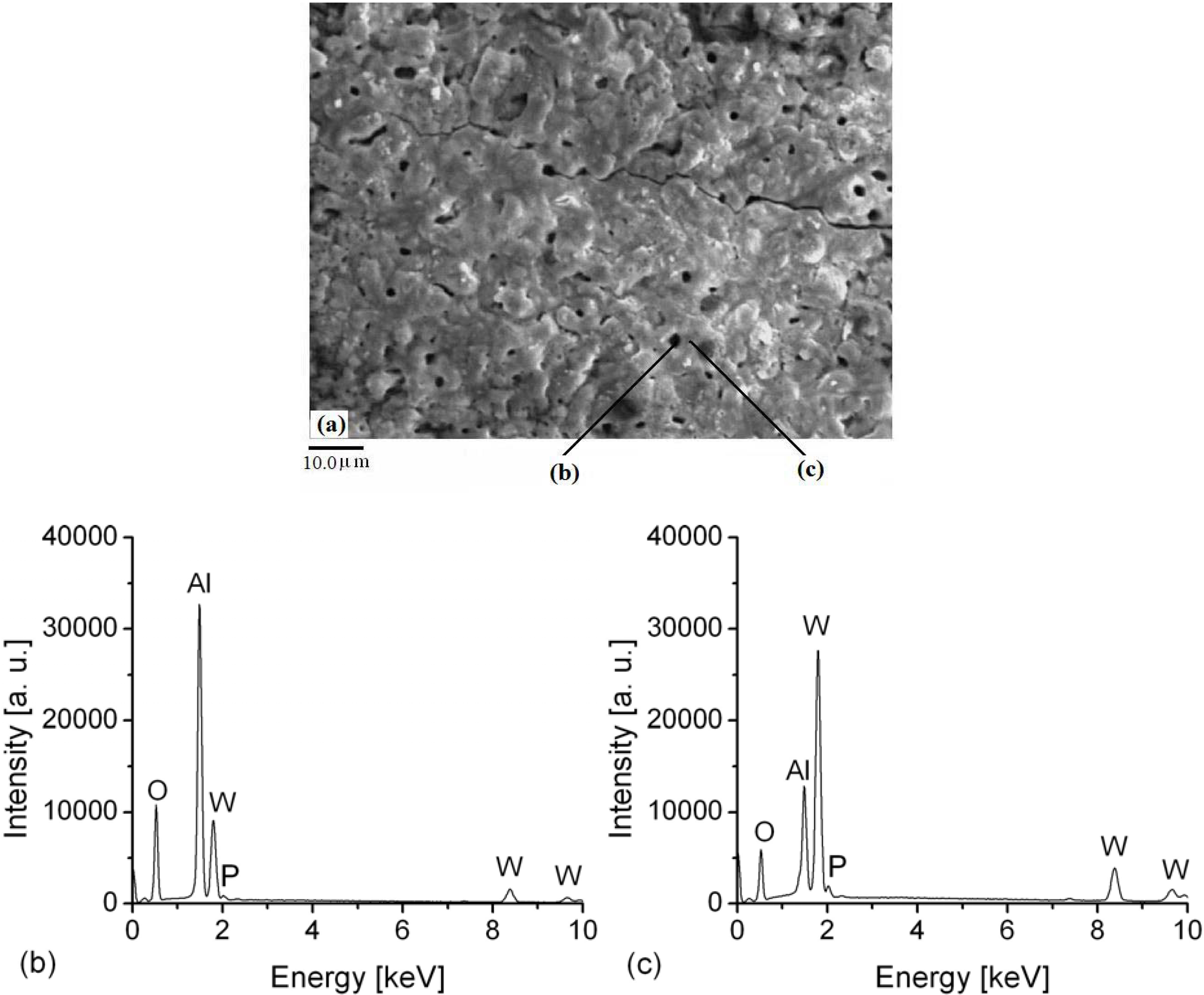 Materials 03 00110 g002