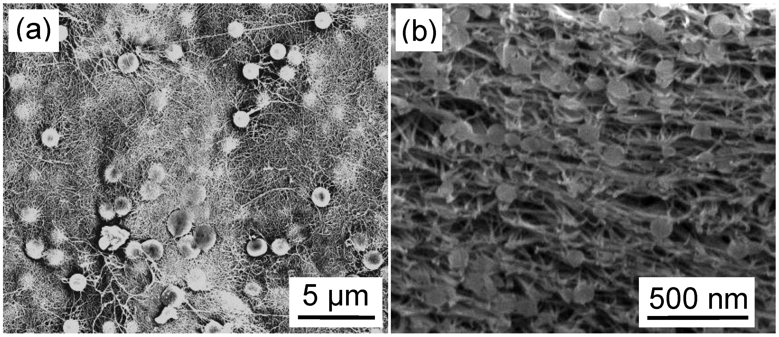 Materials 03 00127 g006