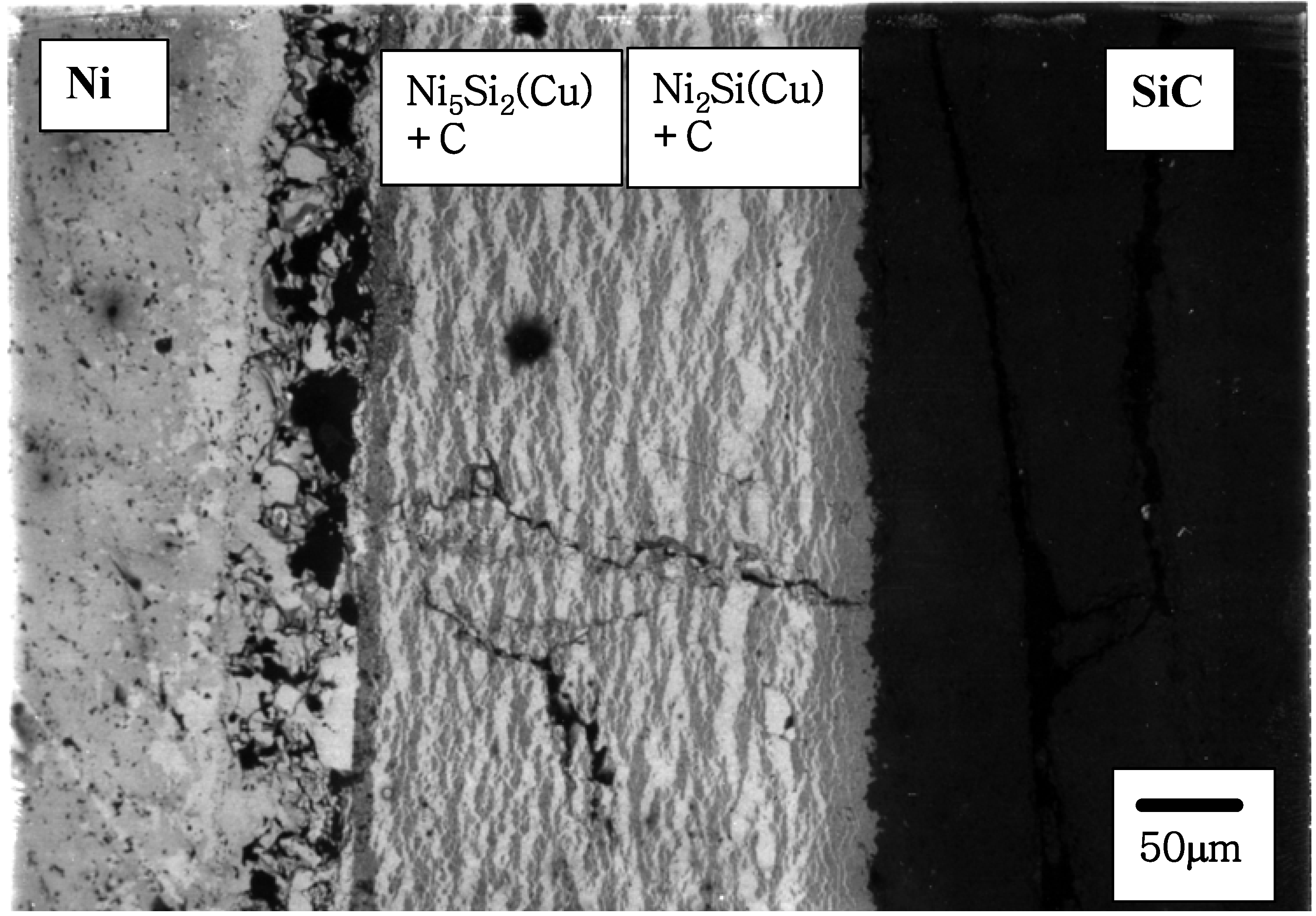 Materials 03 00264 g008 1024