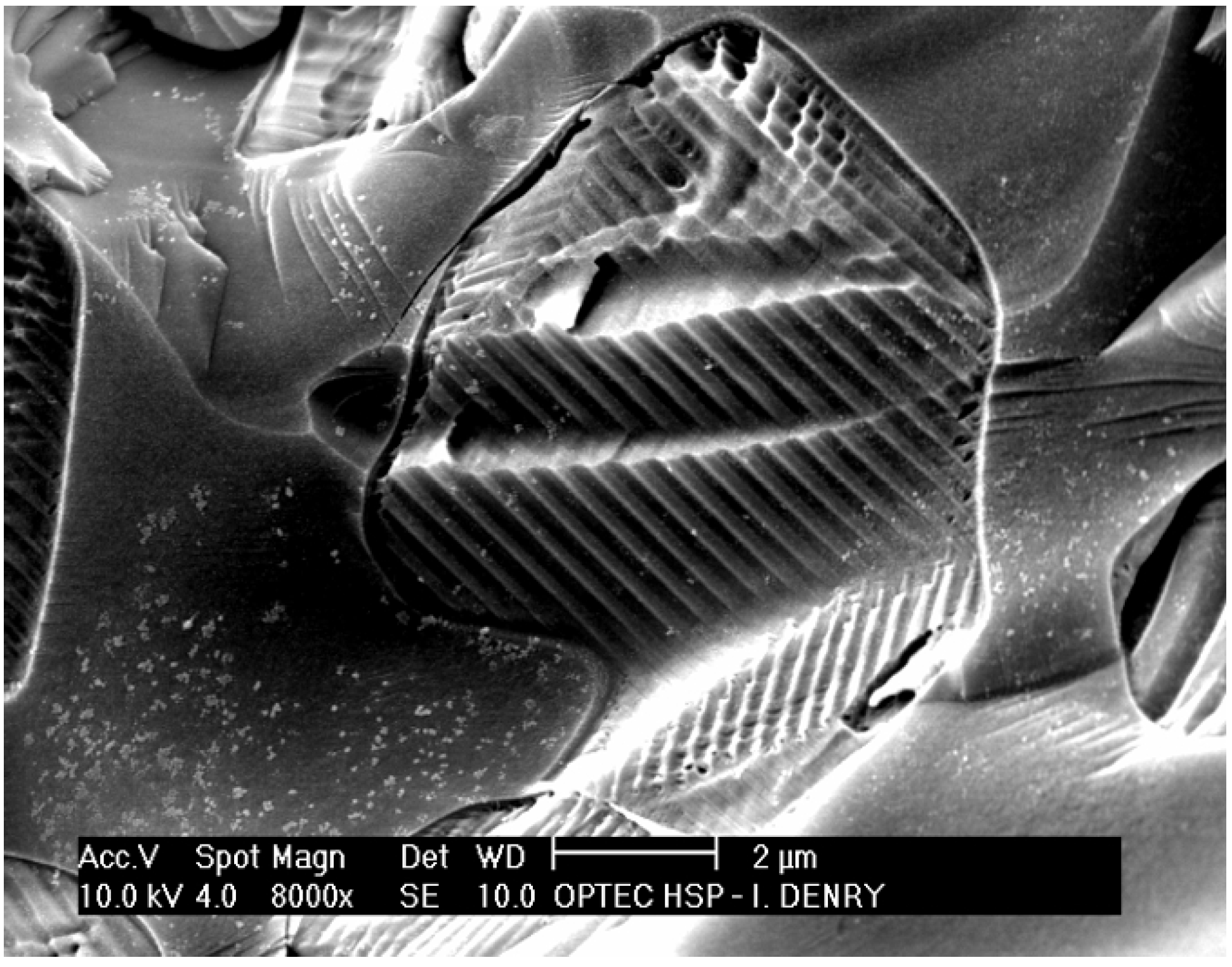 Materials 03 00351 g001