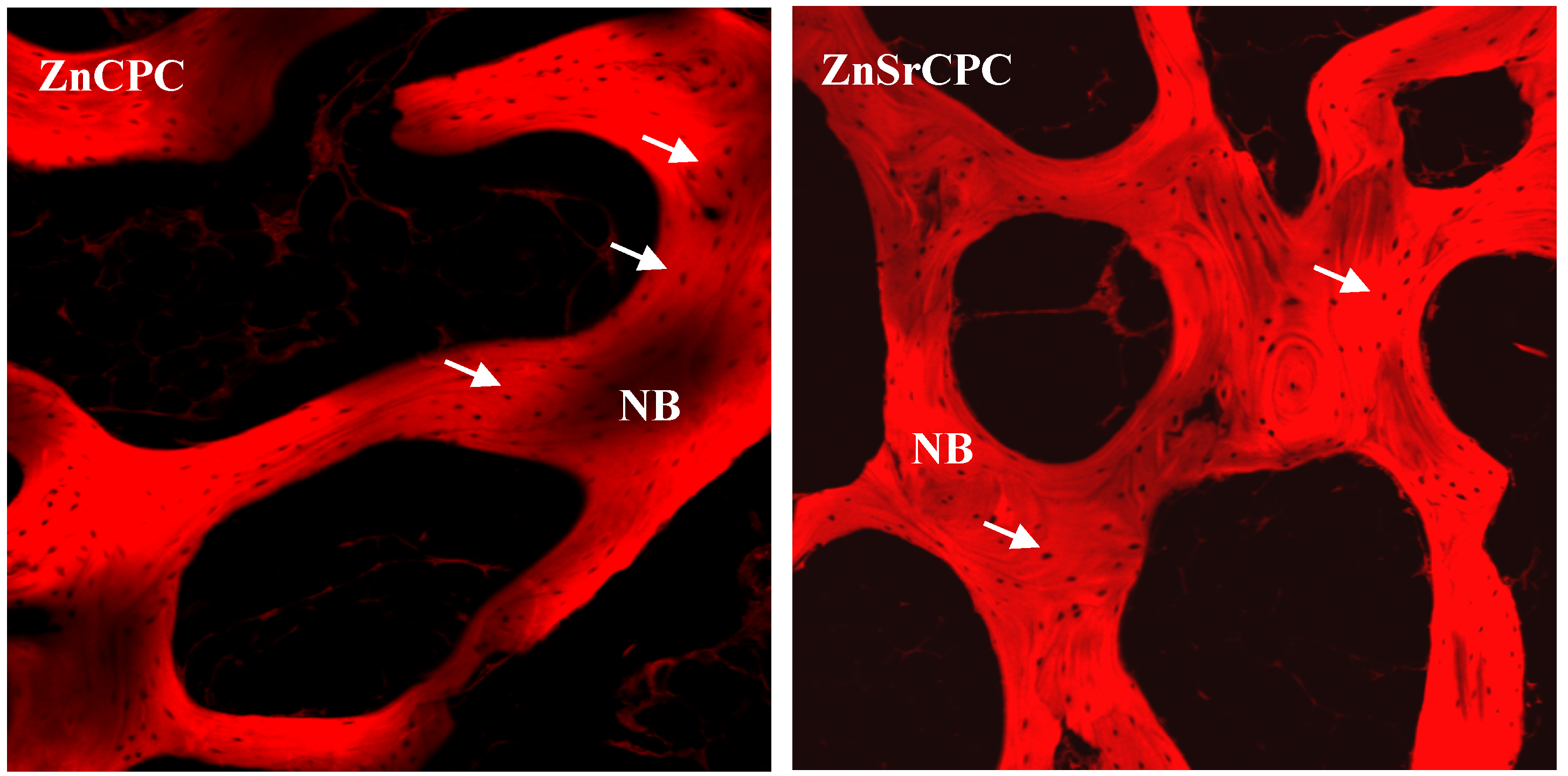 Materials 03 00519 g003