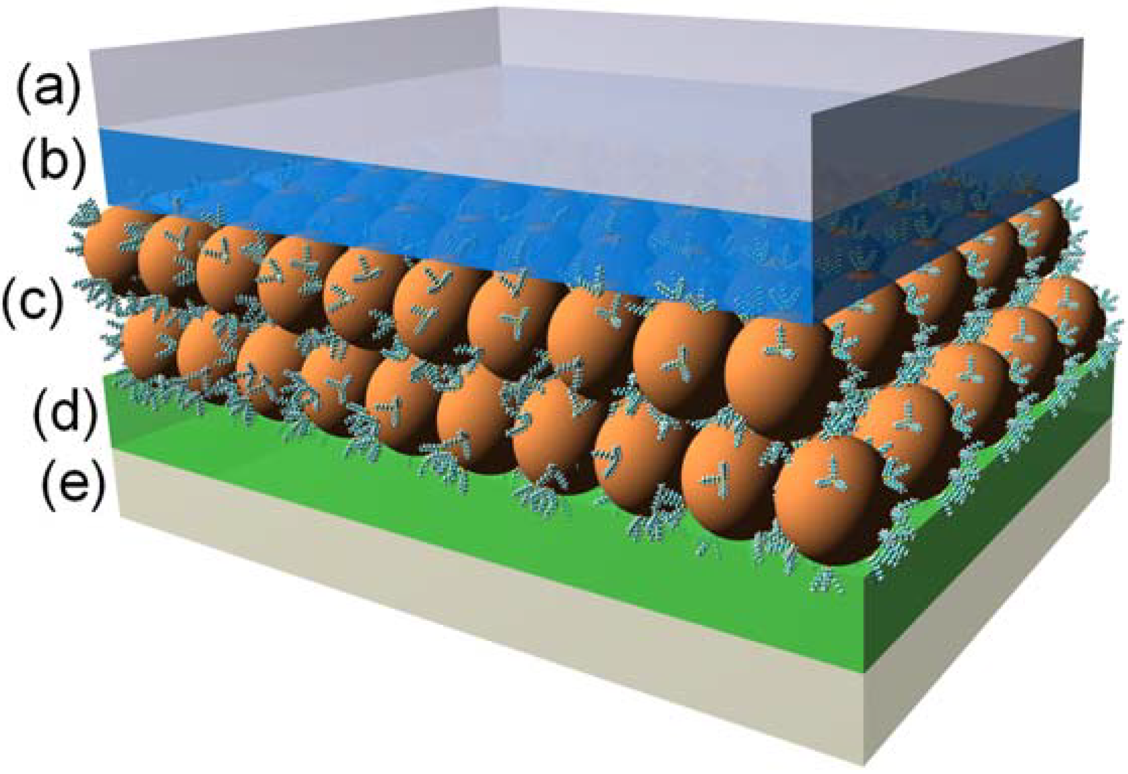 Materials Free FullText Semiconductor Nanocrystals Hybridized with Functional Ligands New