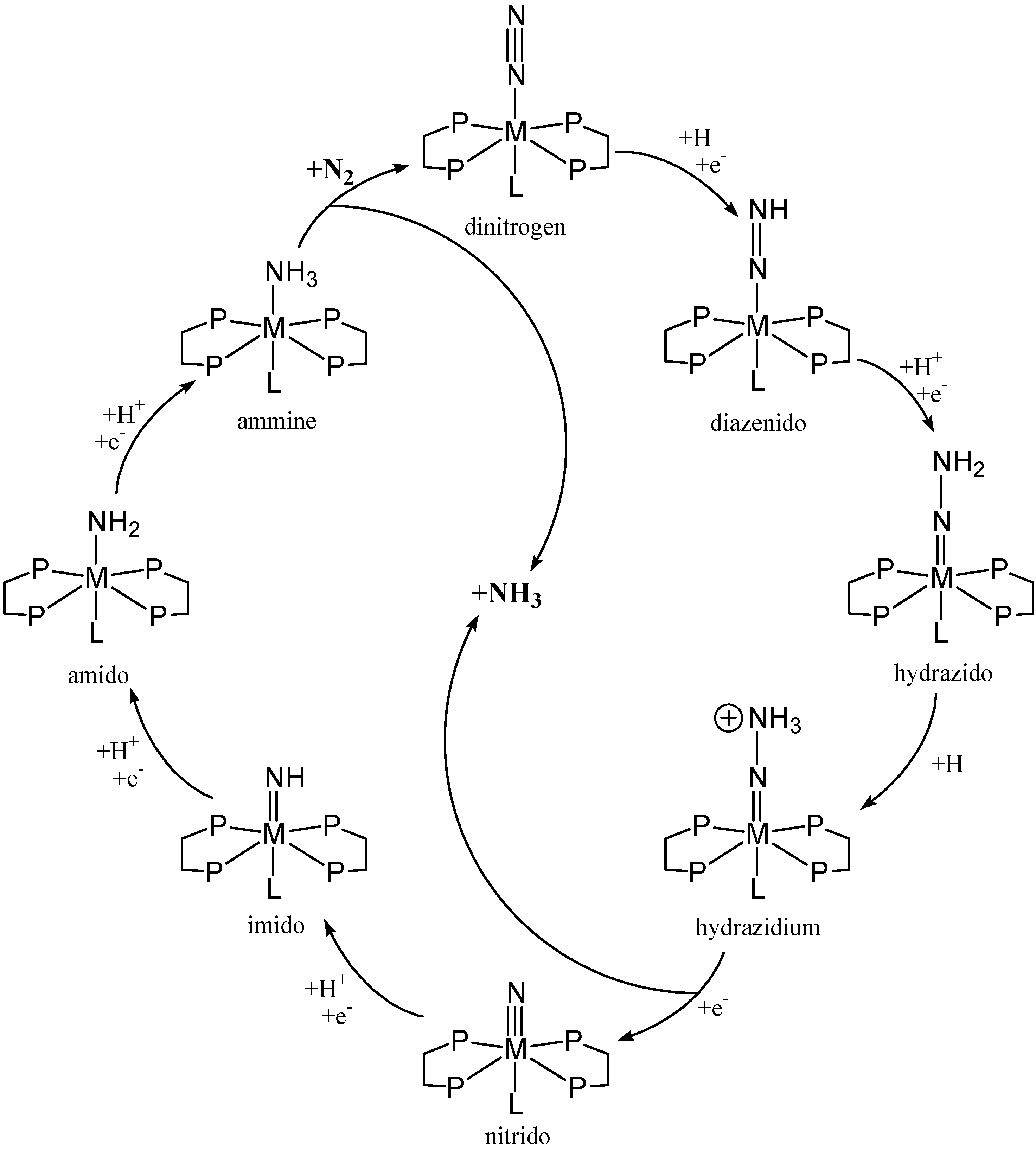 Materials 03 00841 g019