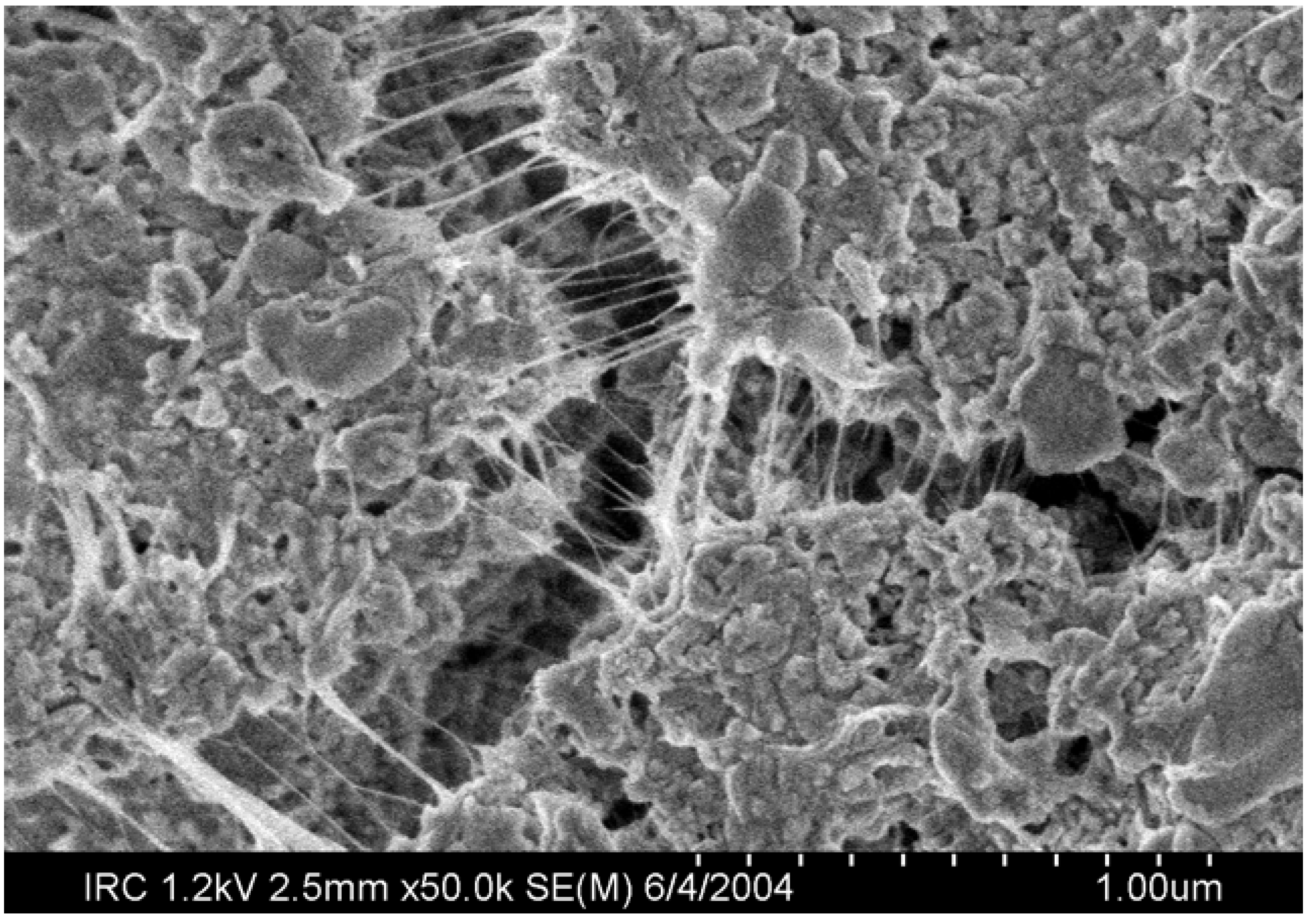 Materials 03 00918 g009