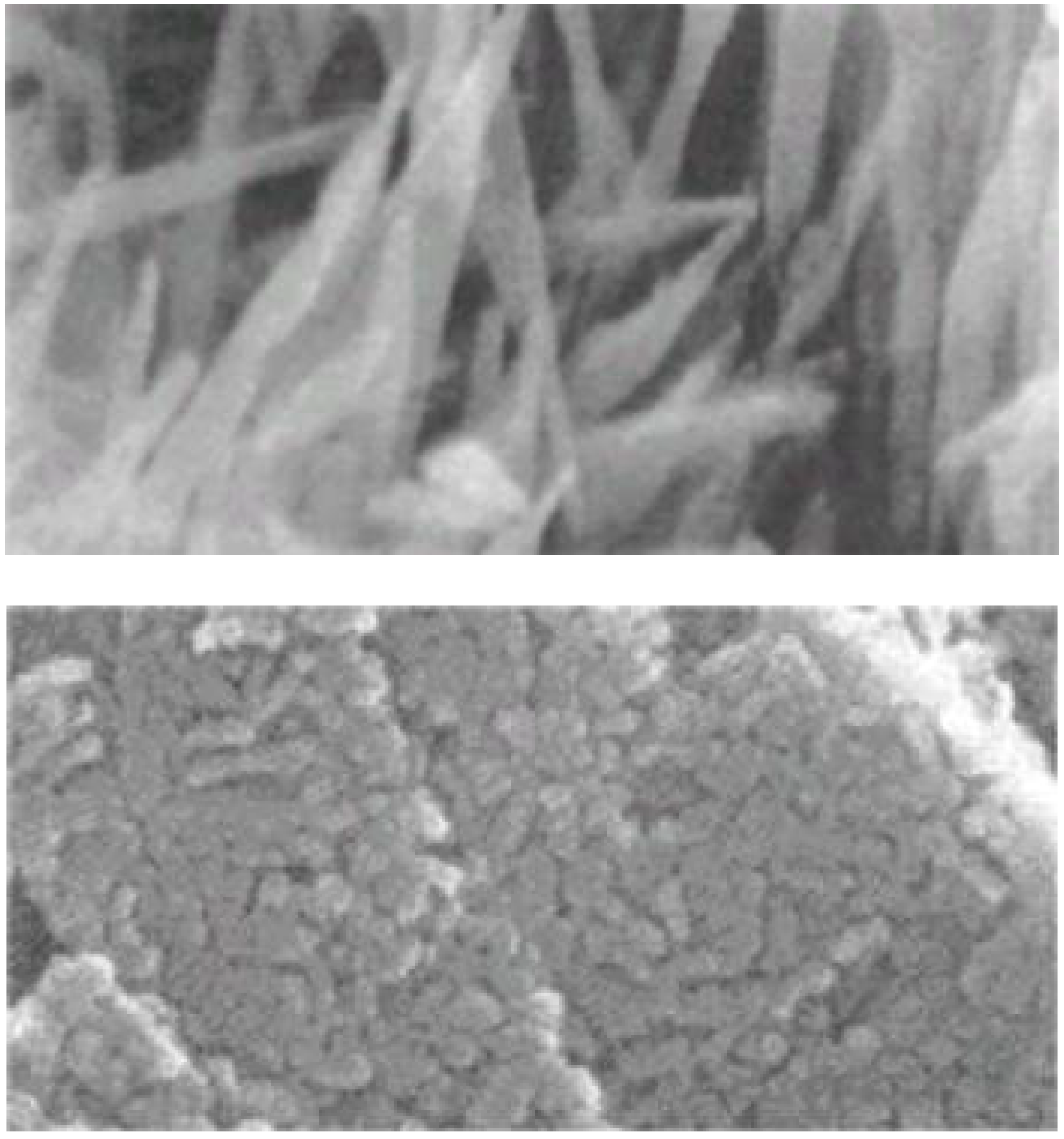 Materials 03 01138 g007 1024