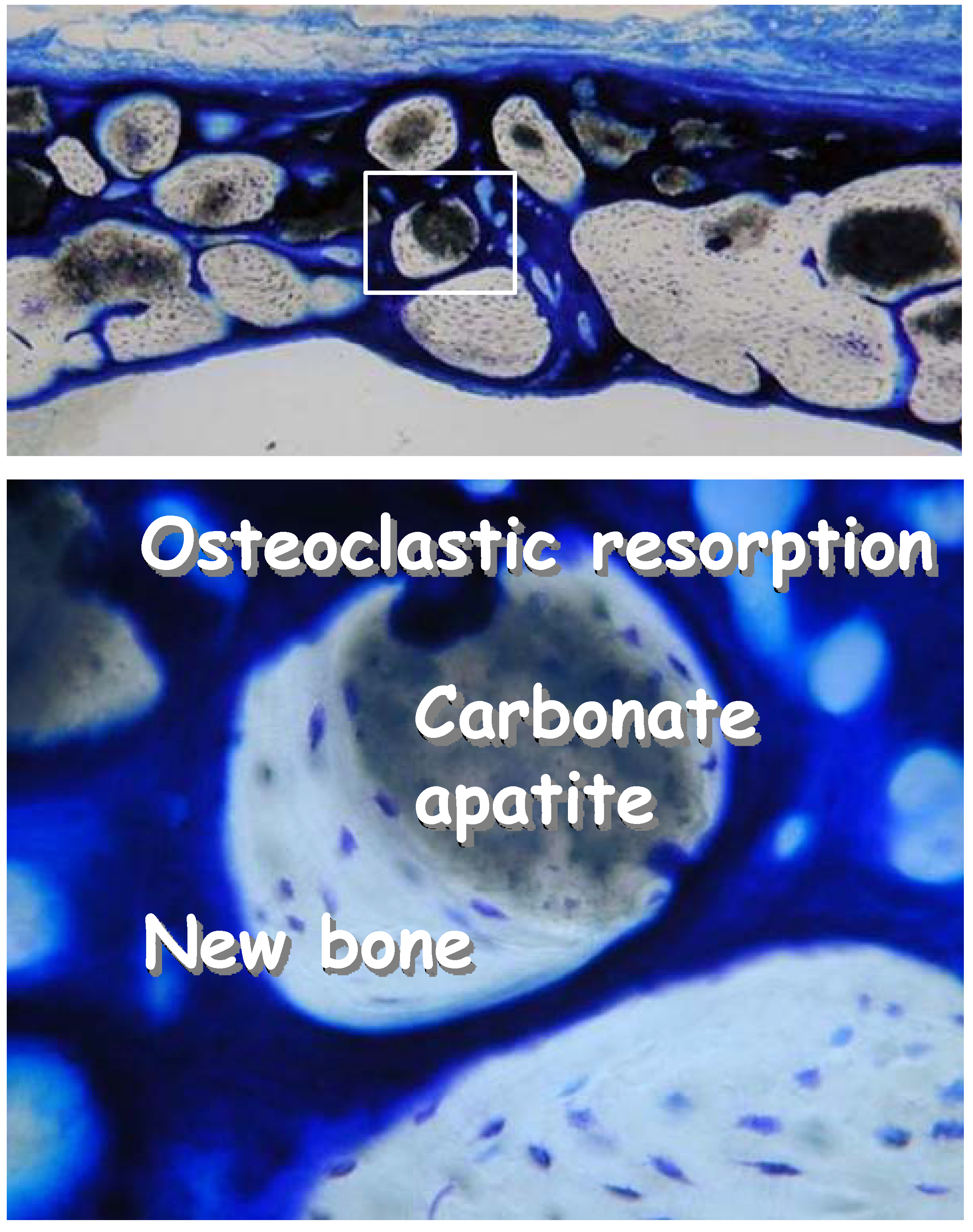 Materials 03 01138 g009 1024