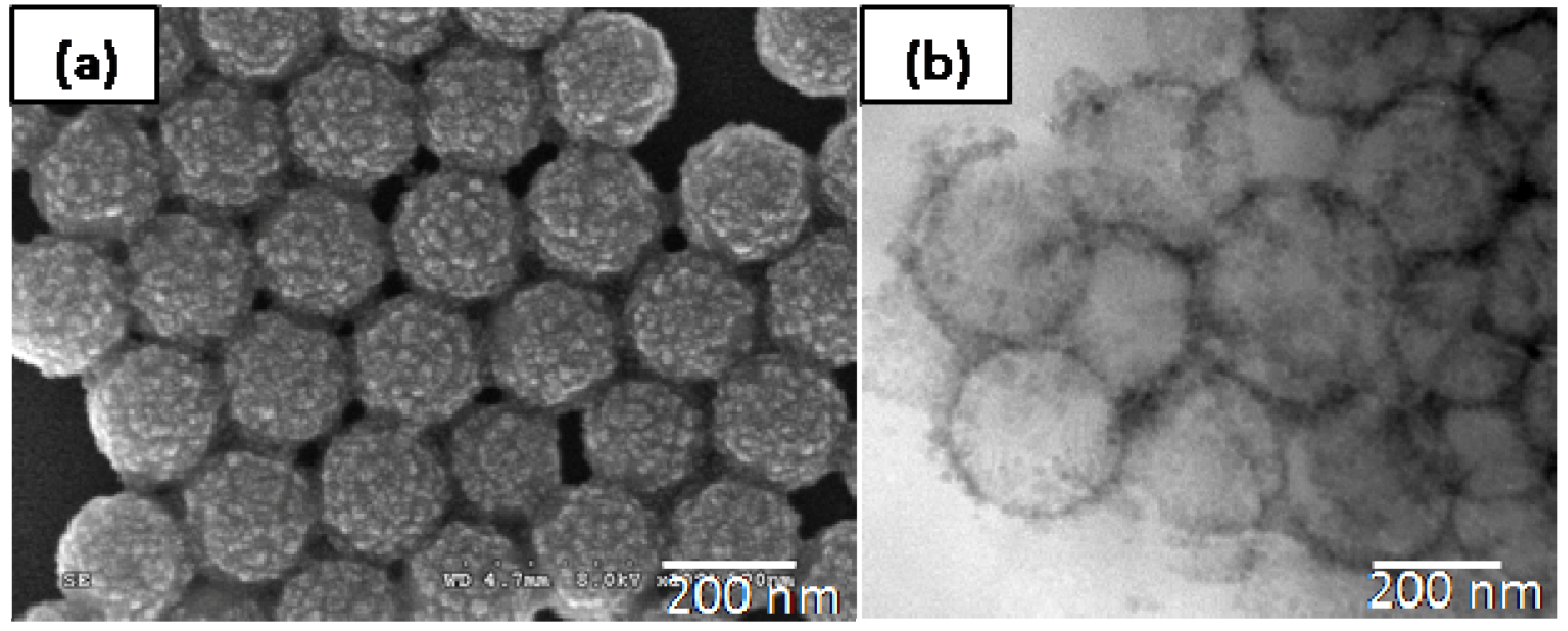 Materials 03 01186 g001 1024