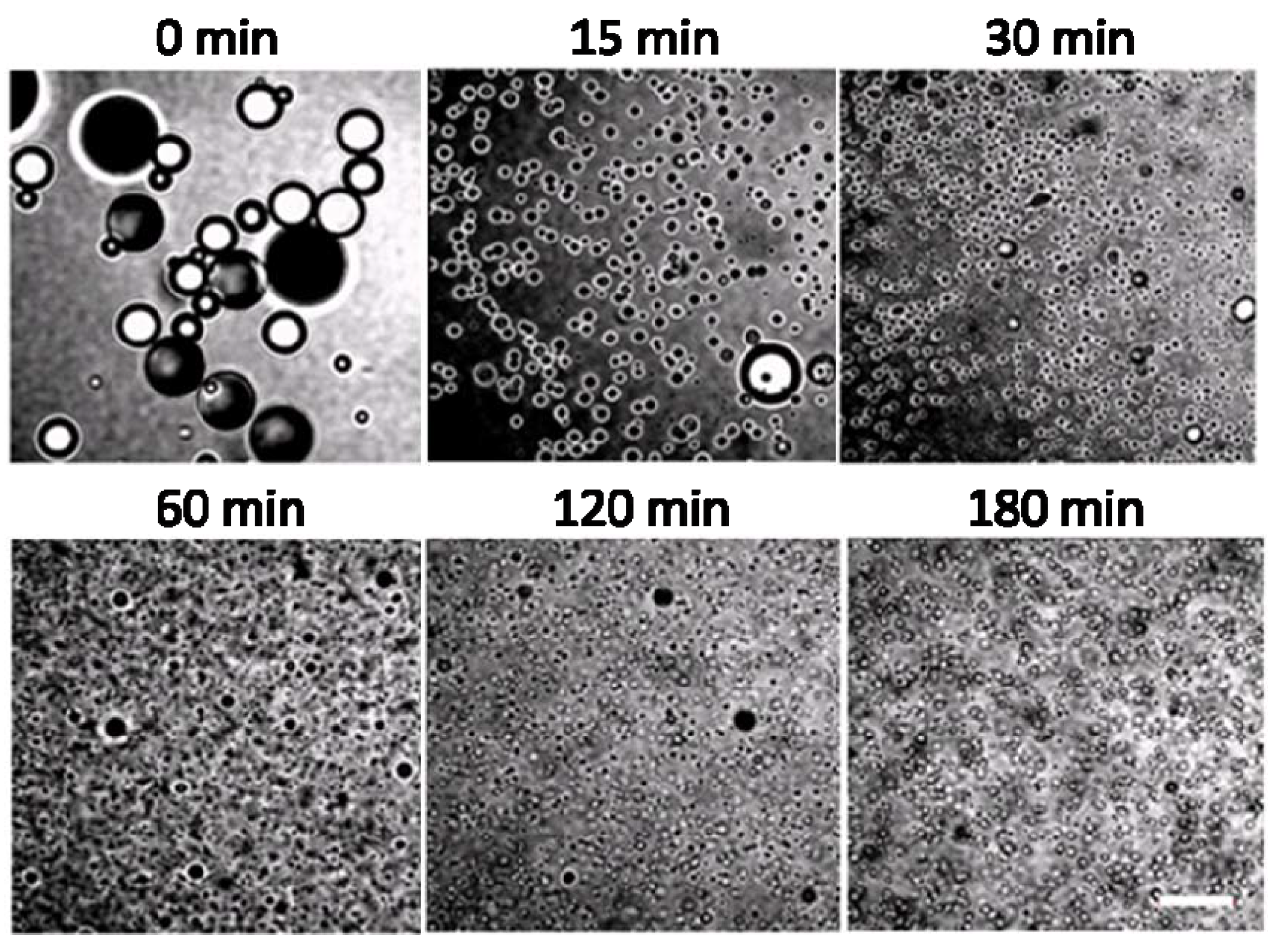 Materials 03 01186 g007 1024