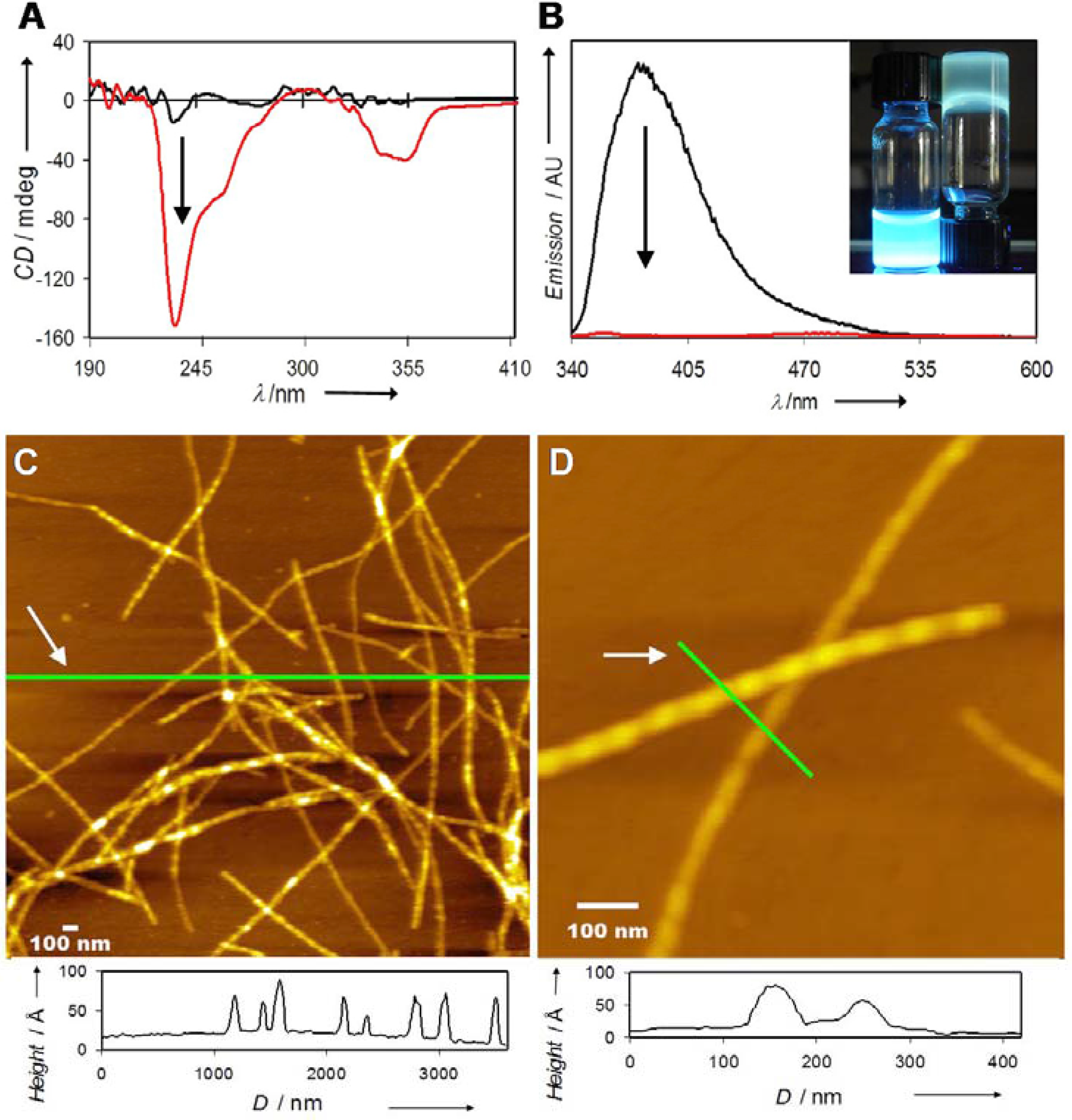Materials 03 01269 g005 1024