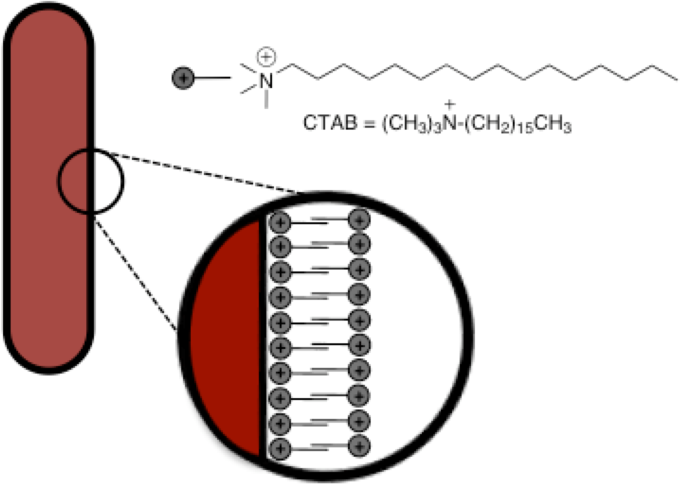 Materials 03 01461 g001 1024