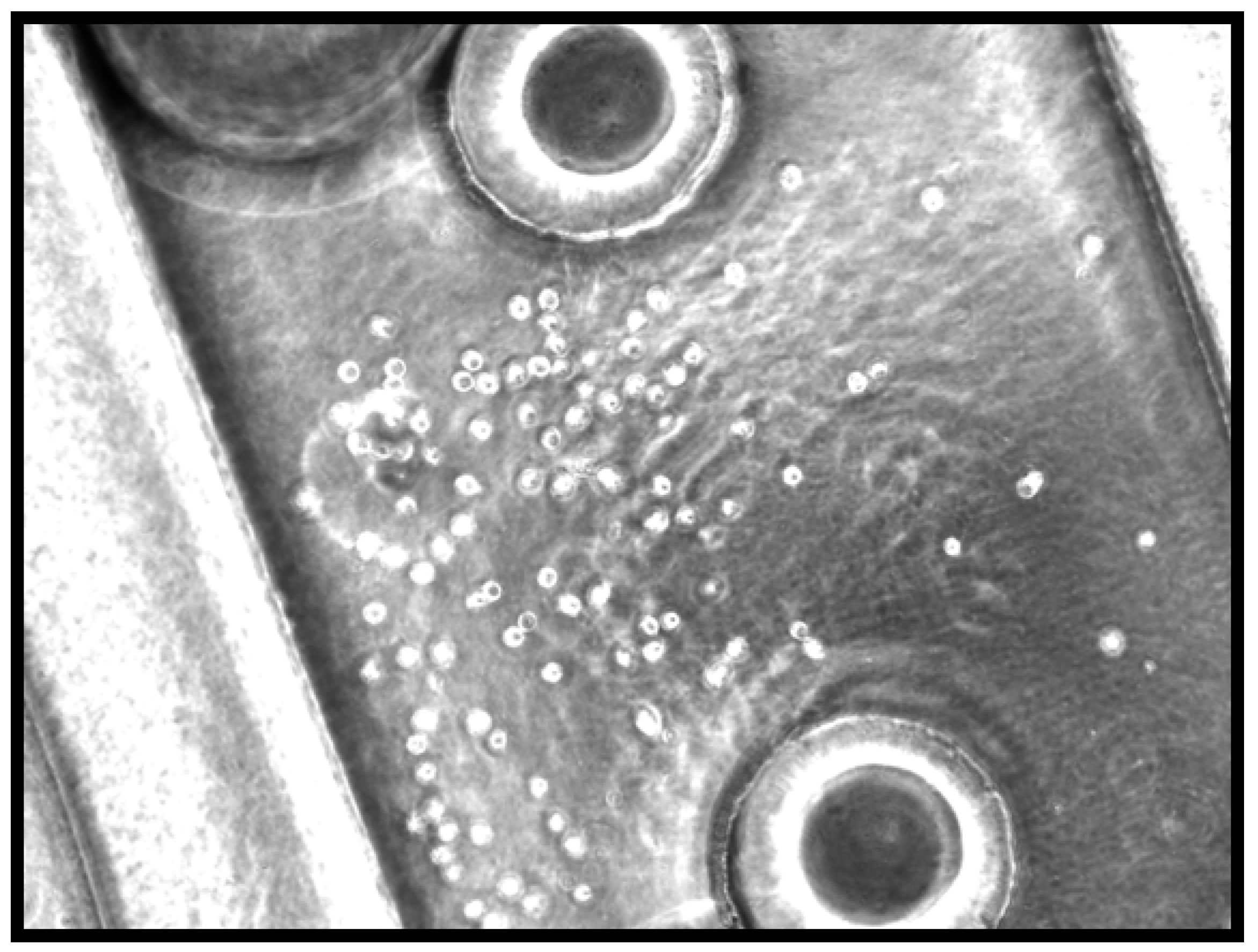 Materials 03 01833 g002 1024